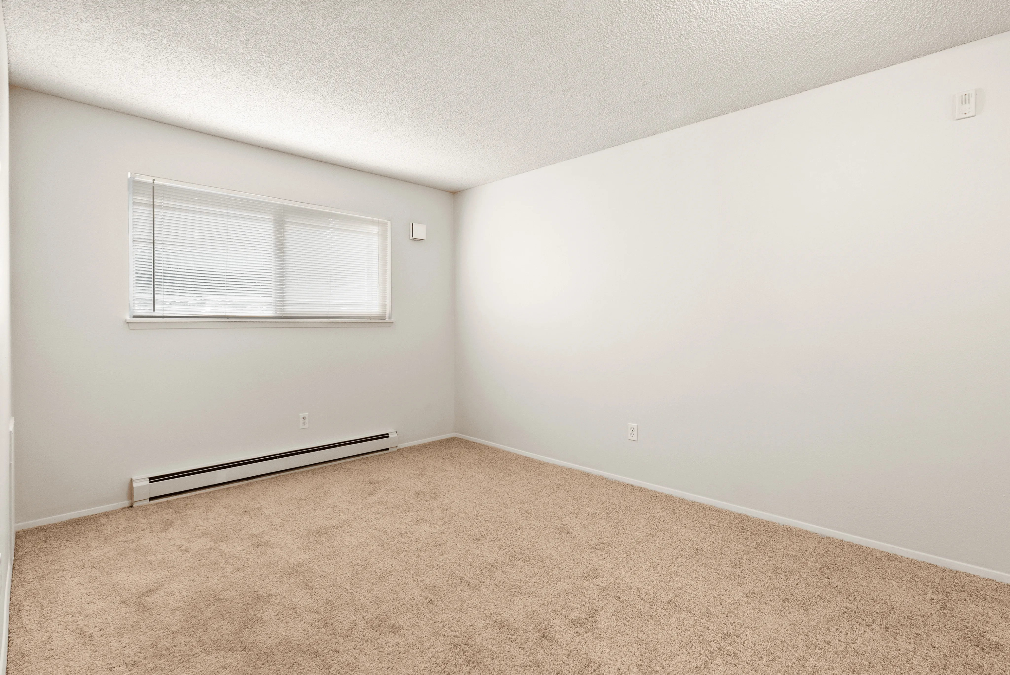 Bright and empty bedroom with large window and neutral carpet flooring.