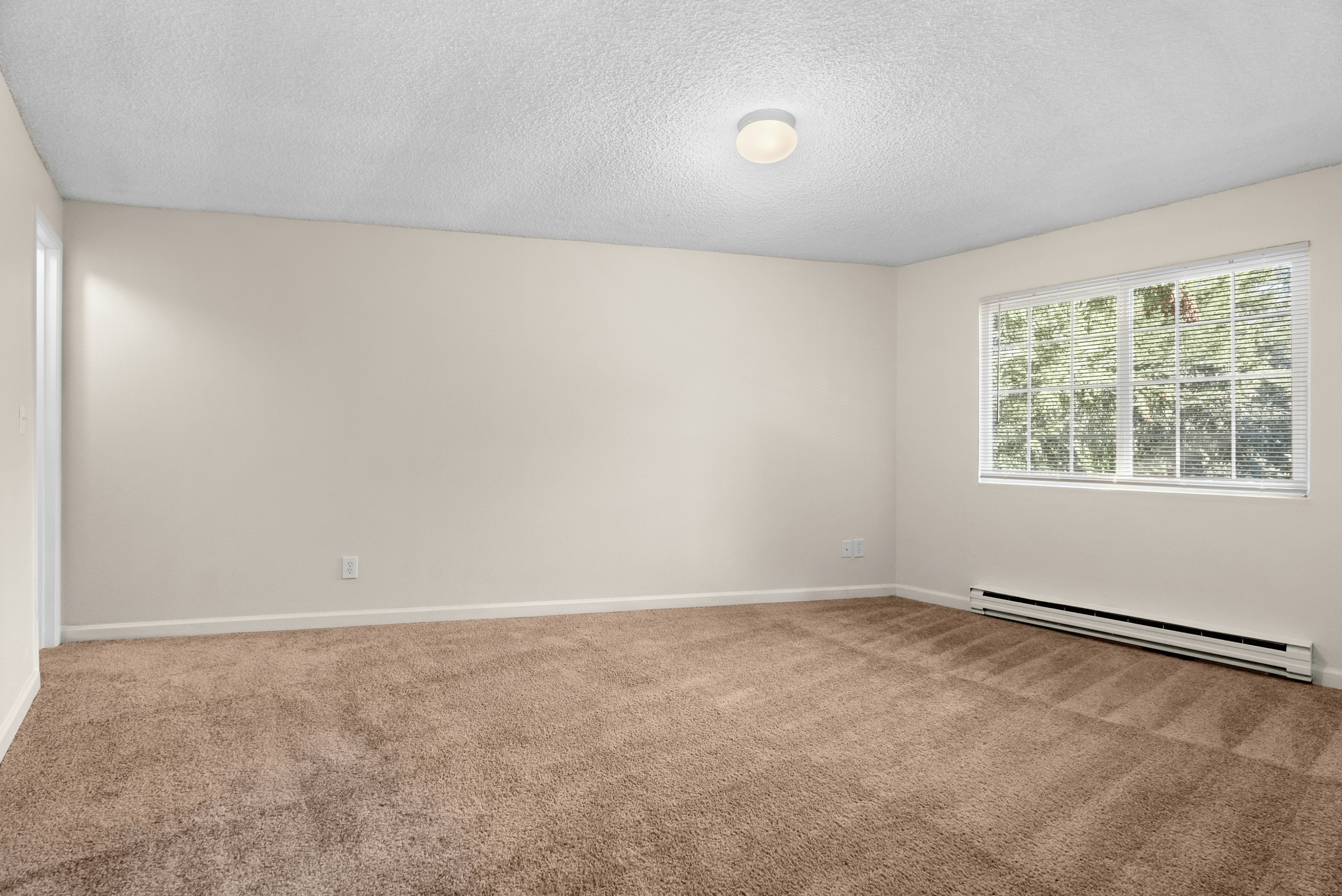Bright and spacious room with beige carpet and large window offering natural light.