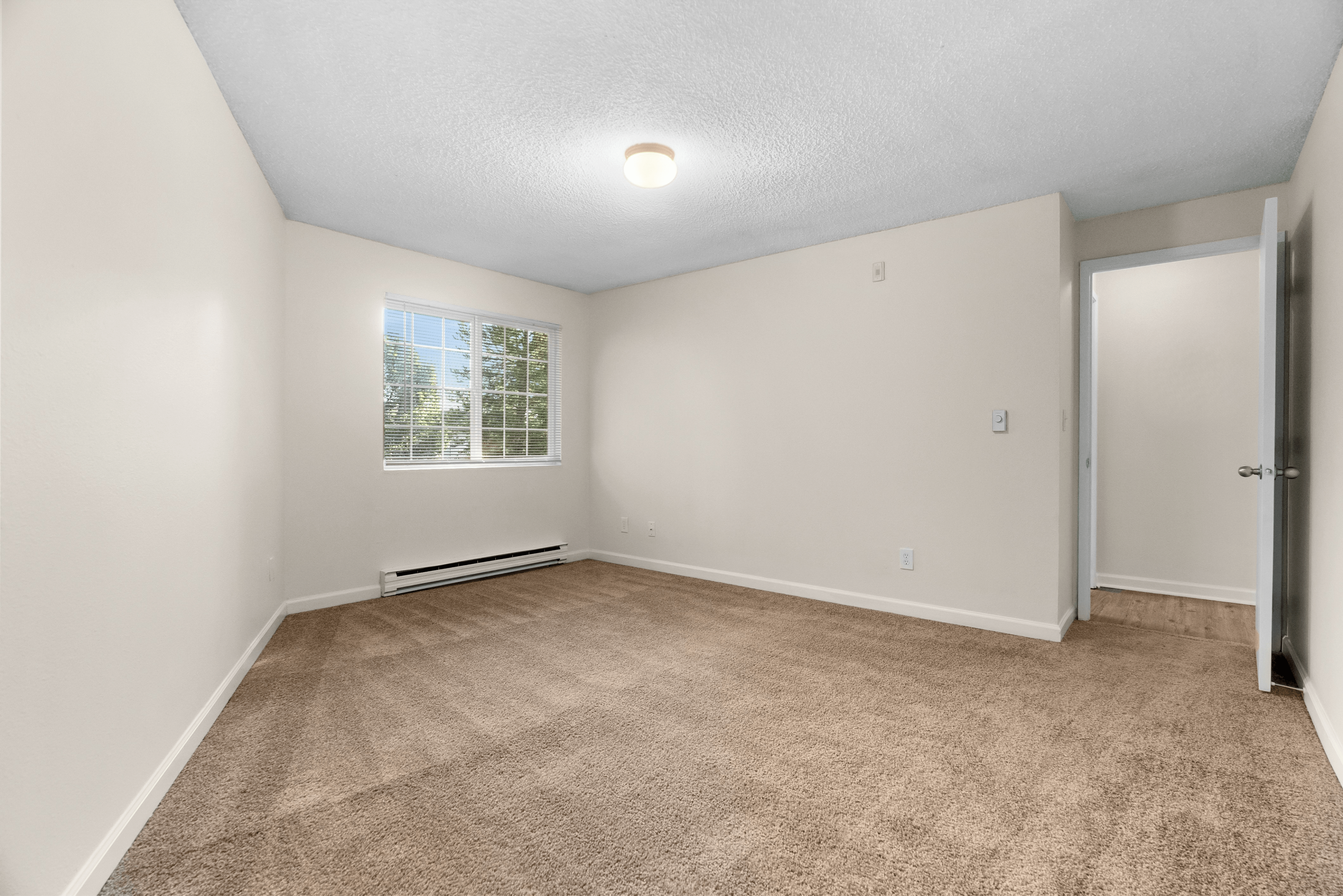 Bright, empty bedroom featuring fresh carpet and a large window with natural light.