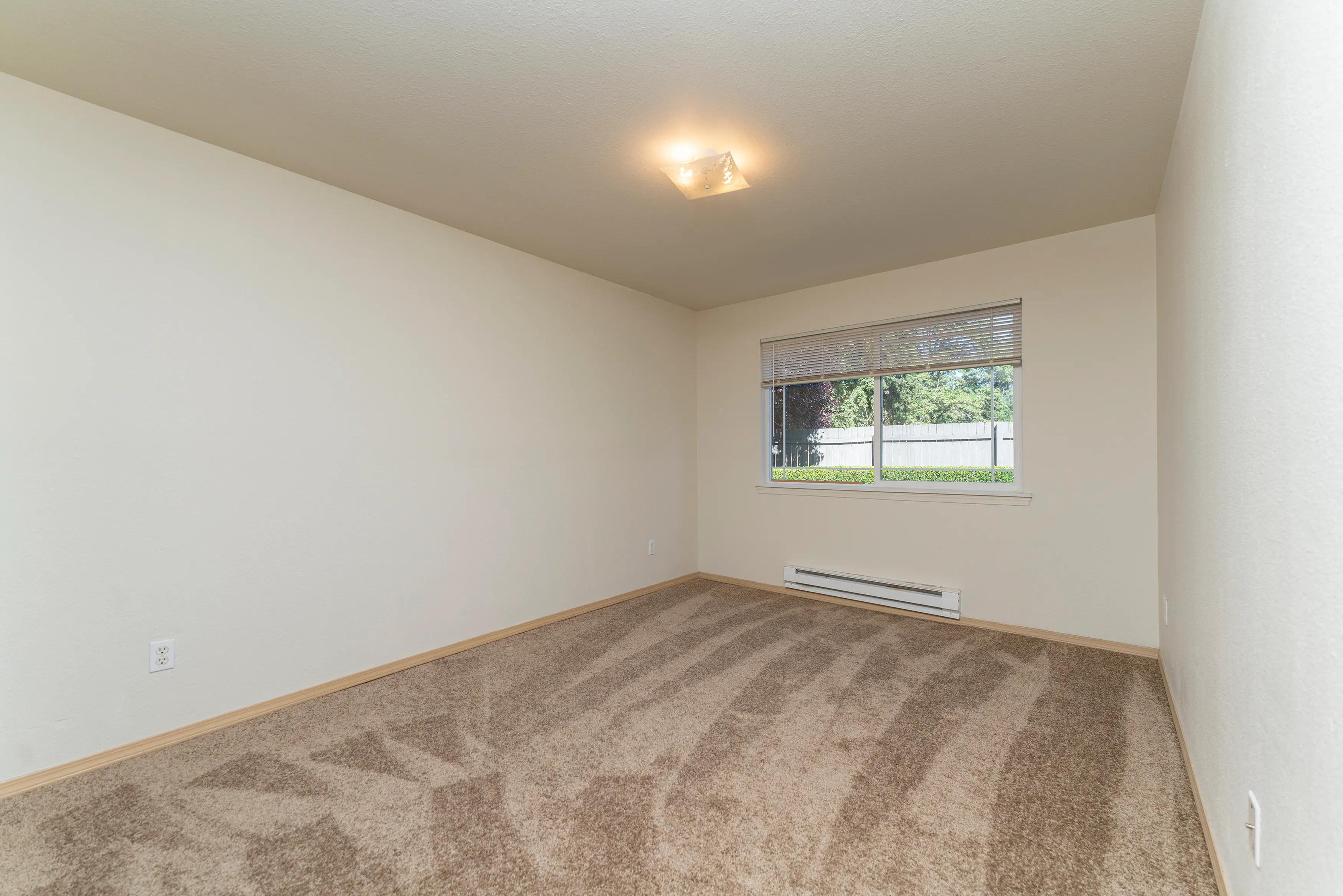 Bright empty room with plush carpet, large window letting in natural light, and neutral wall colors.