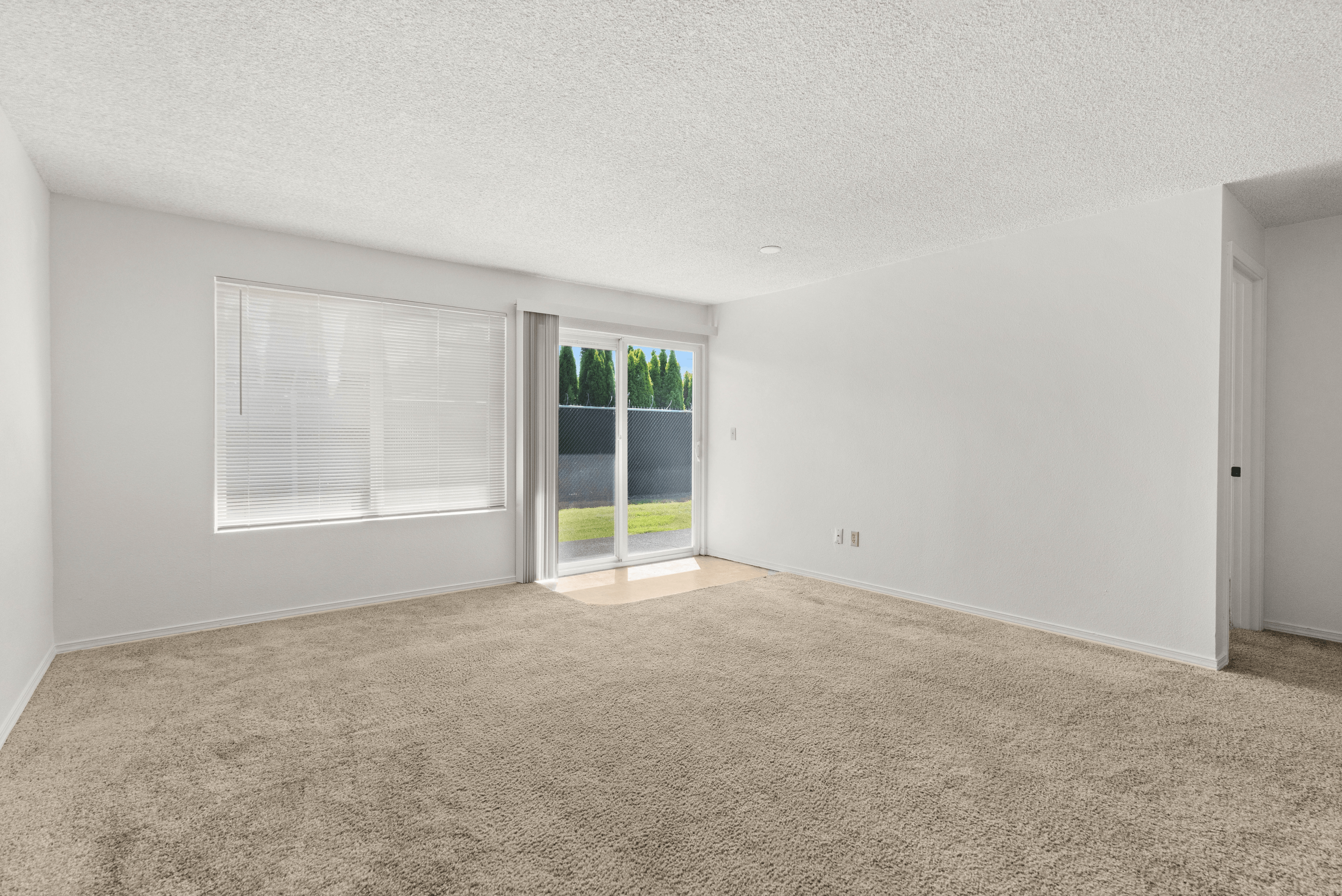 Spacious living room with beige carpet, large window, and sliding glass door leading to a green backyard.