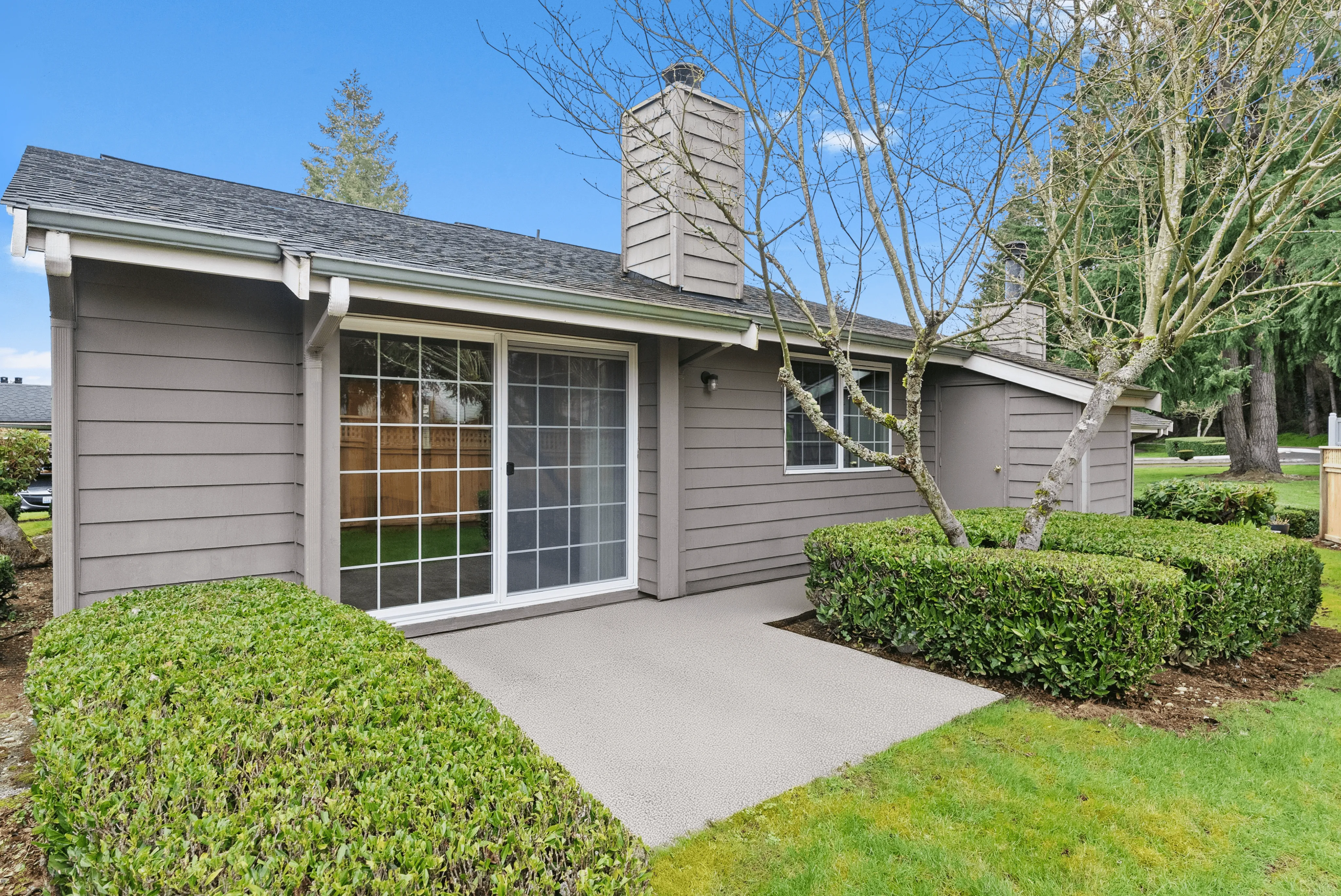 Beautiful back patio with privacy and greenery to create your perfect outdoor oasis!