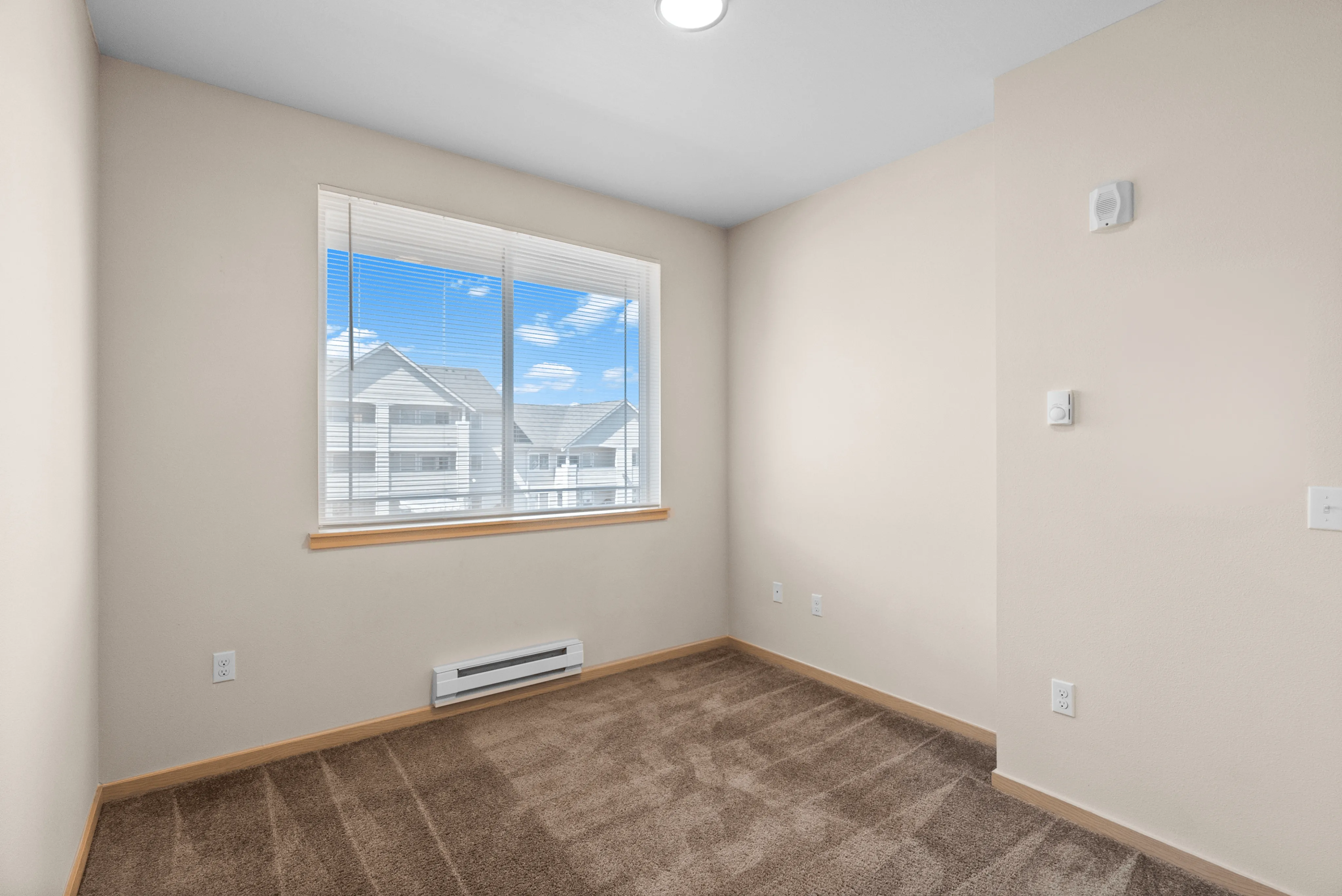 Bright room with plush carpeting and large window offering a picturesque view of neighboring buildings and blue sky.