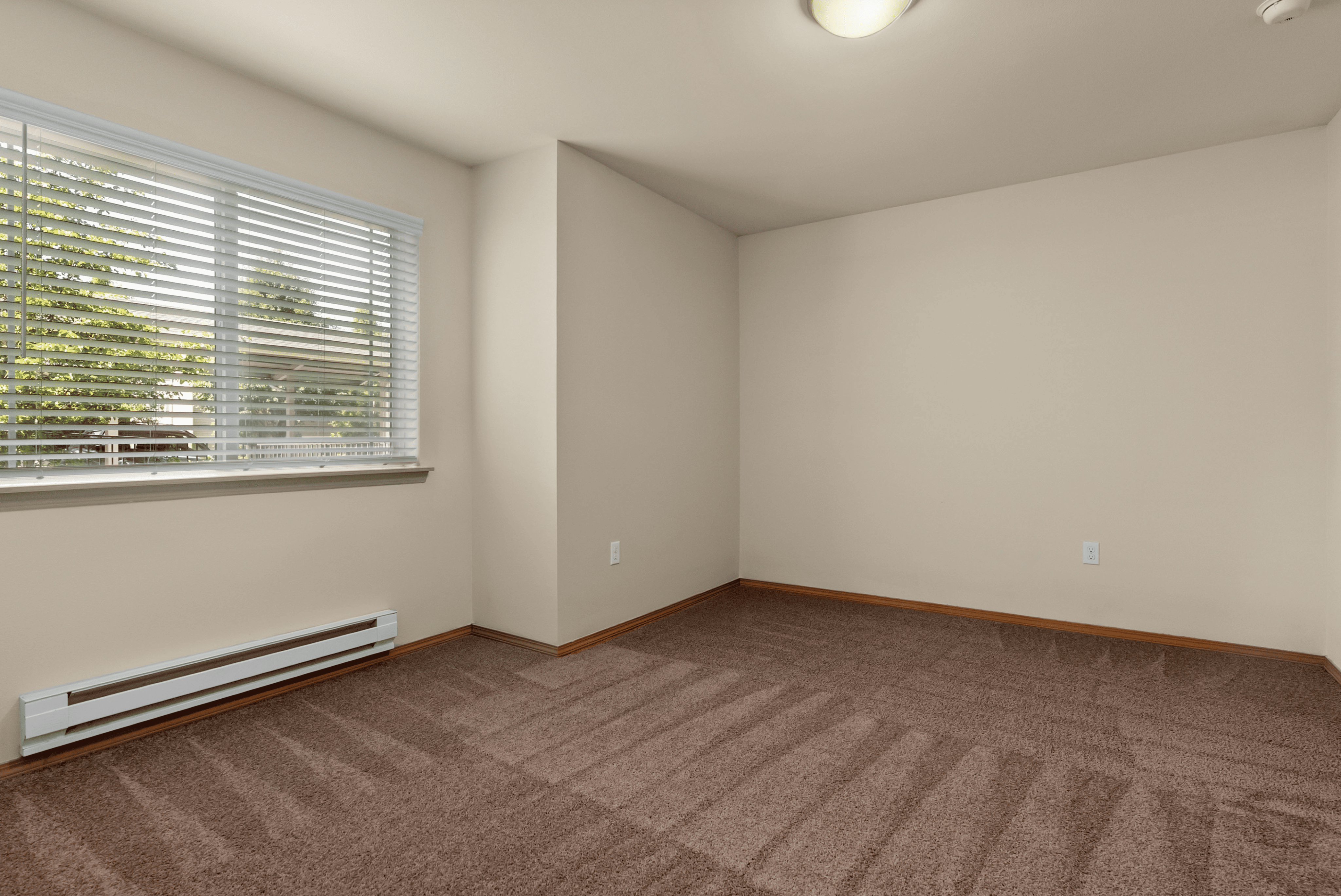 Bright and airy room with large window, modern blinds, and plush carpeting, ready for personalization.