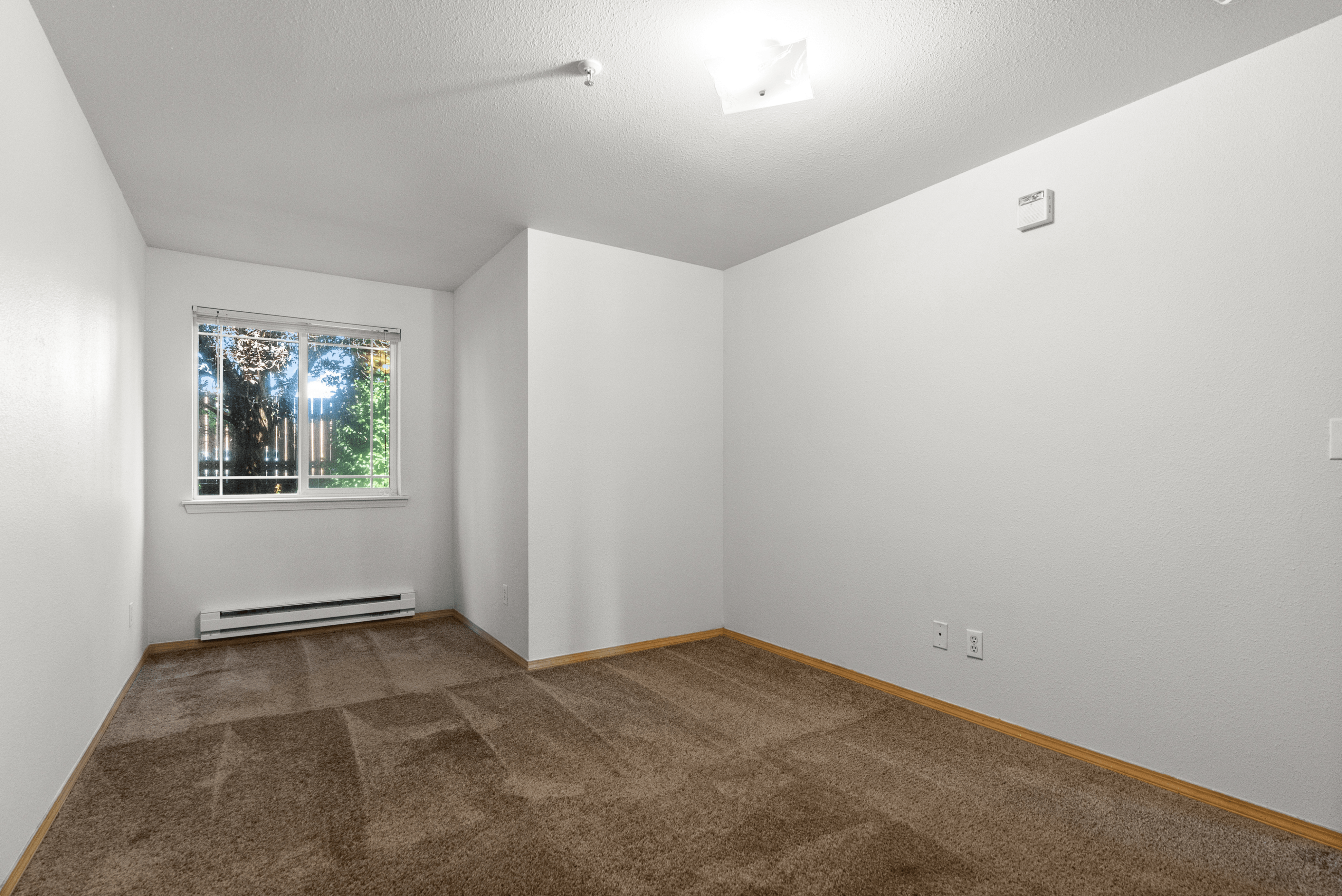Bright and cozy room with plush carpet and large window offering a serene view of greenery, perfect for a peaceful retreat.