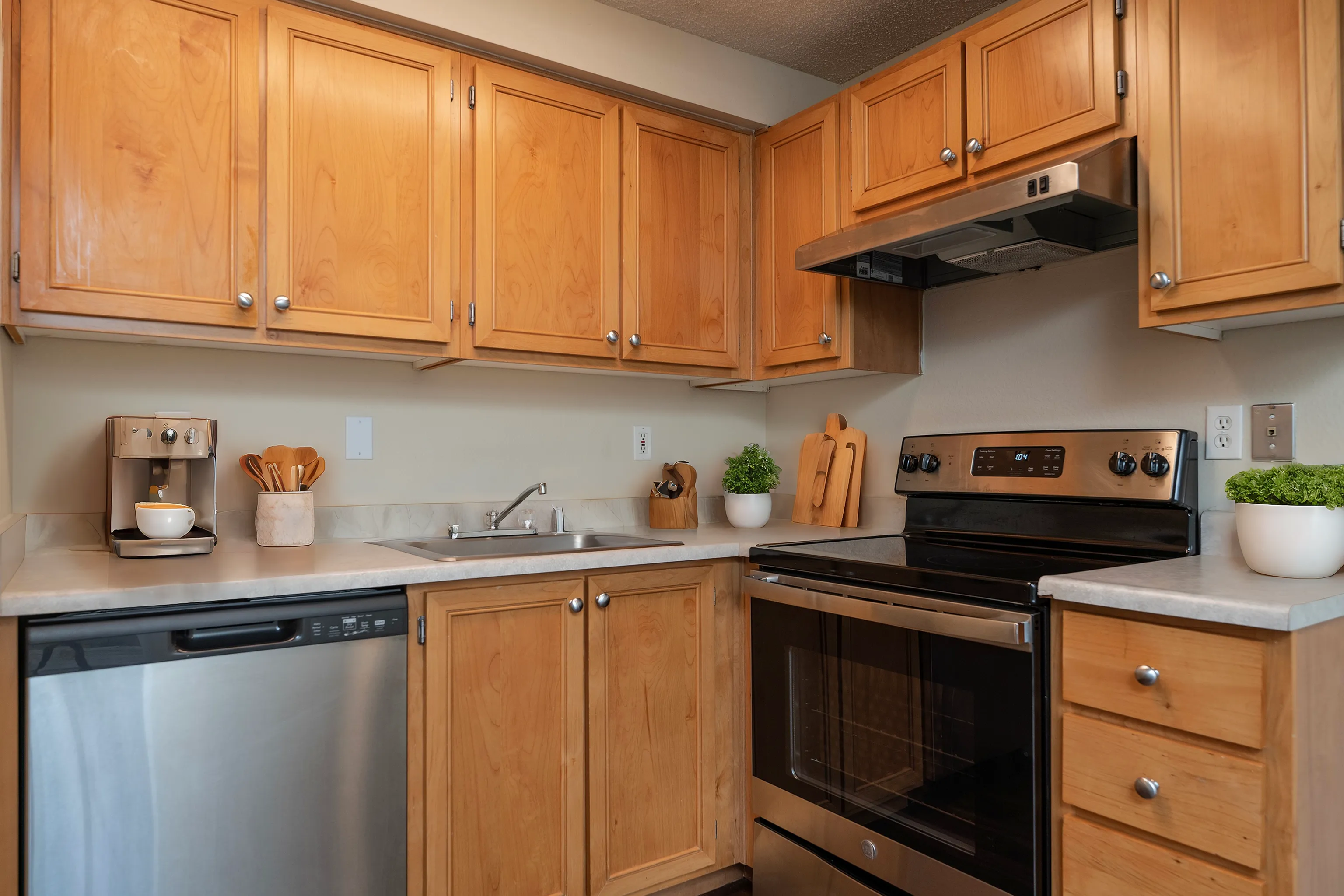 Cozy kitchen with warm wooden cabinets, modern stainless steel appliances, and a sleek countertop with decorative plants.