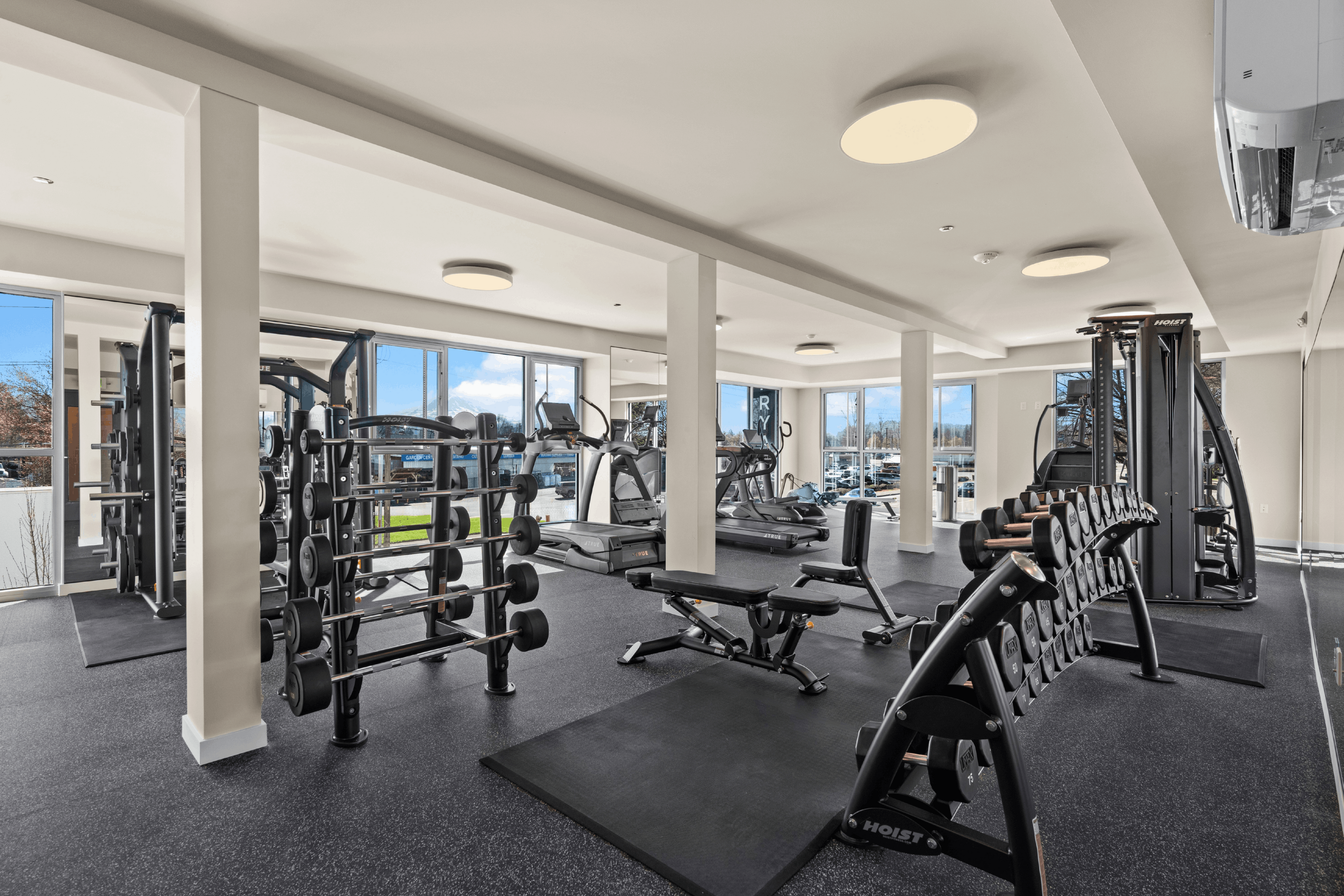 Modern gym with state-of-the-art fitness equipment, large windows, and abundant natural light for a vibrant workout environment.