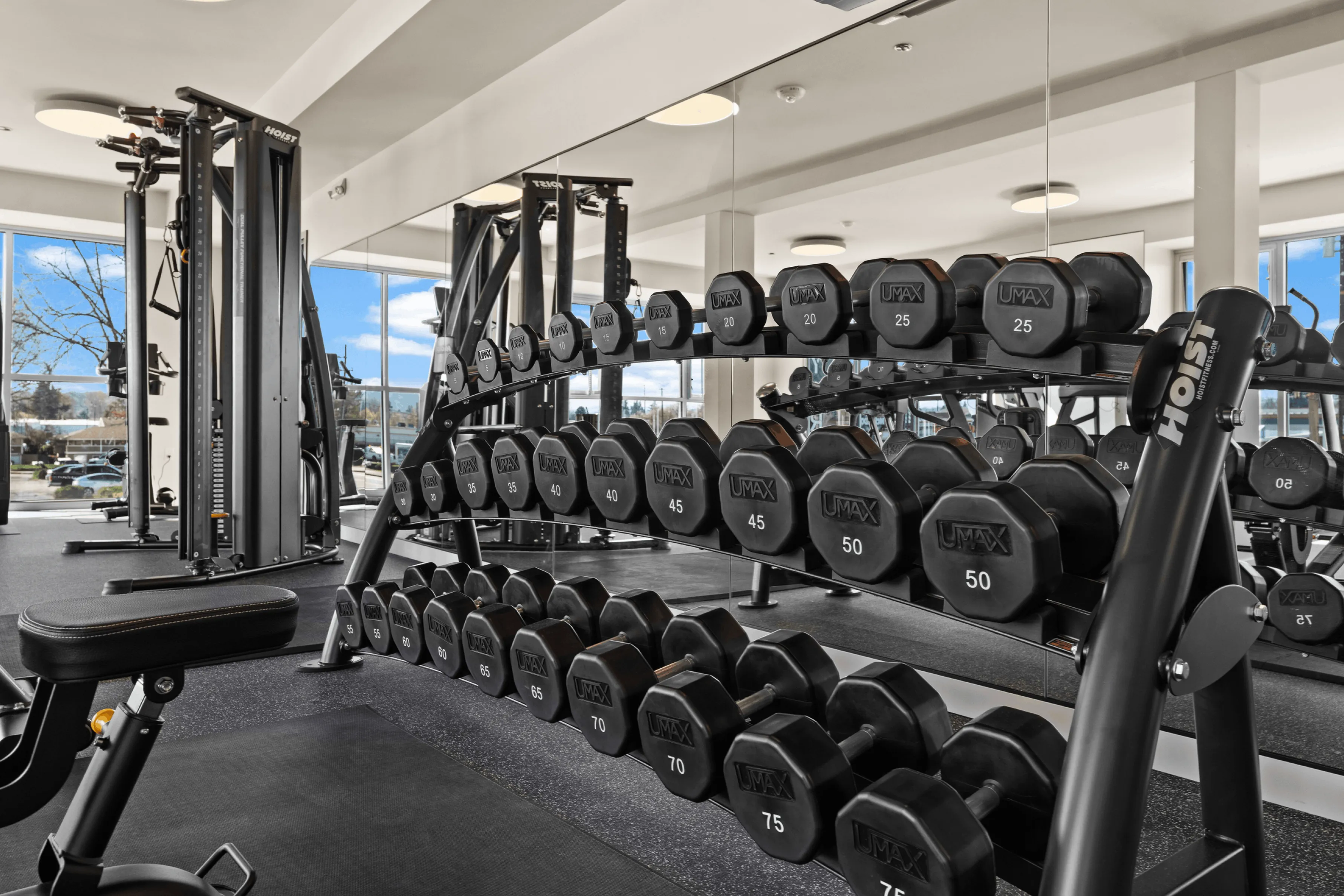 Modern fitness center with state-of-the-art equipment, free weights neatly arranged, and floor-to-ceiling windows offering a bright, inspiring workout environment.
