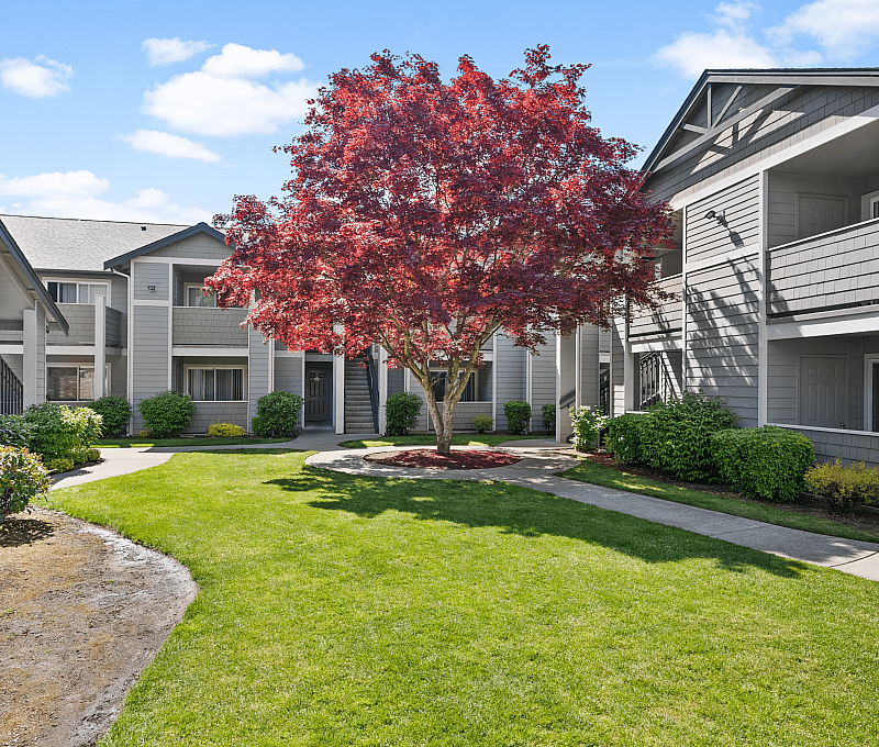 Apartment complex with beautiful landscaping, vibrant red tree, and inviting pathways.