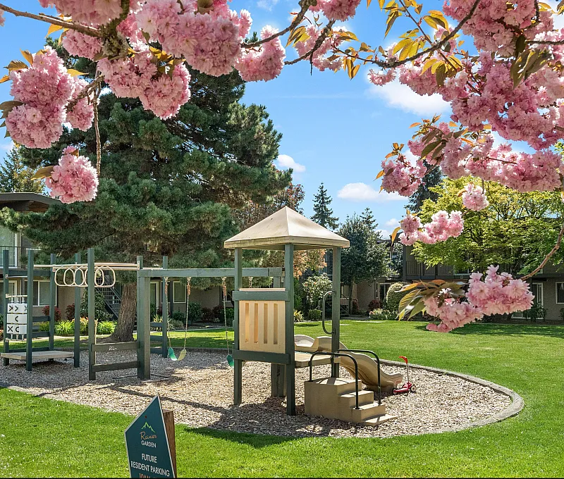 Charming community playground surrounded by lush greenery and vibrant cherry blossoms, perfect for families.