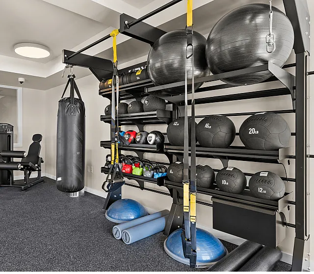 Modern fitness center featuring a variety of workout equipment including TRX bands, kettlebells, medicine balls, exercise ball, punching bag, and gym bench.