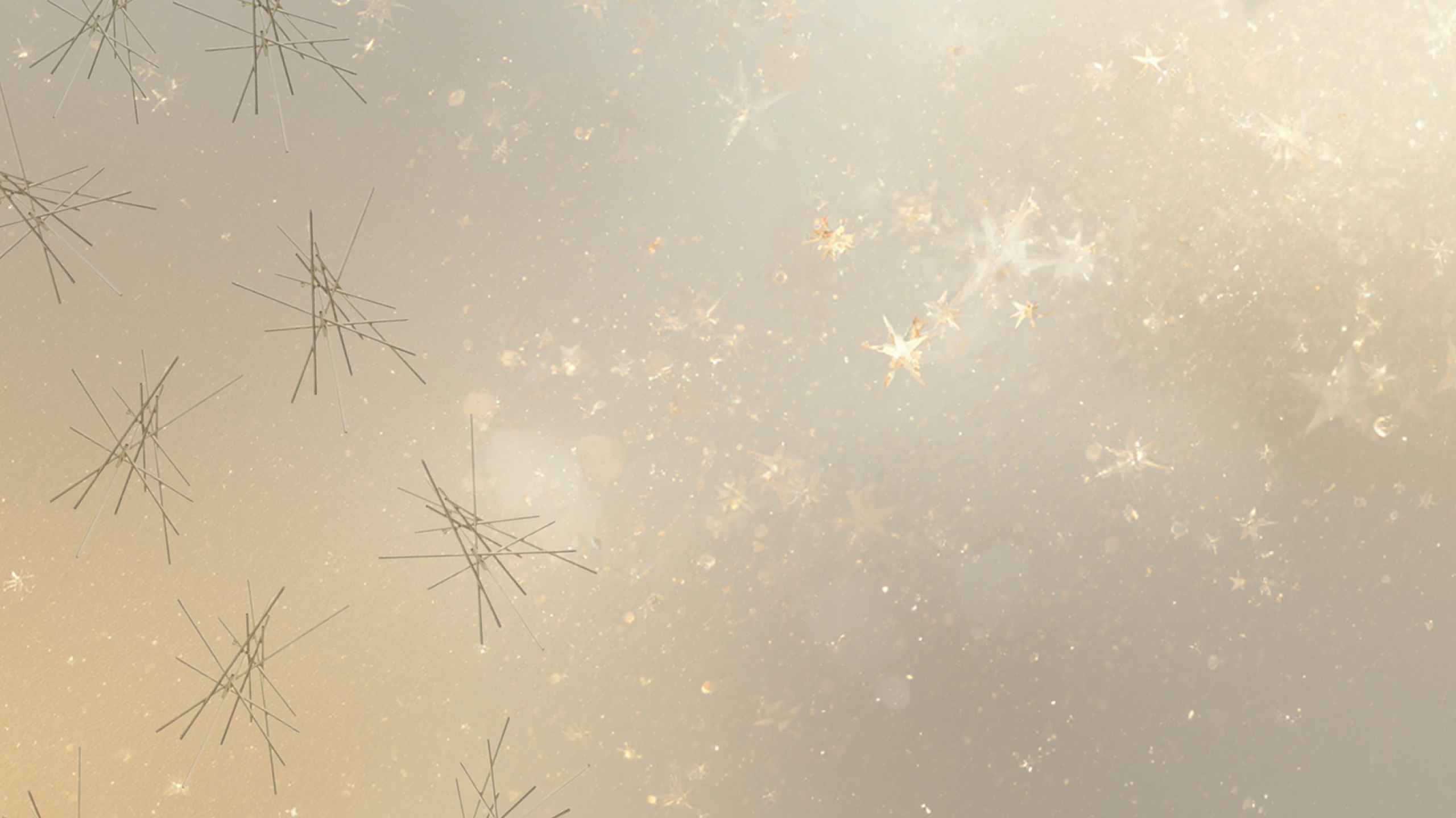 Elegant abstract background with shimmering stars and geometric lines, creating a dreamy and luxurious ambiance.