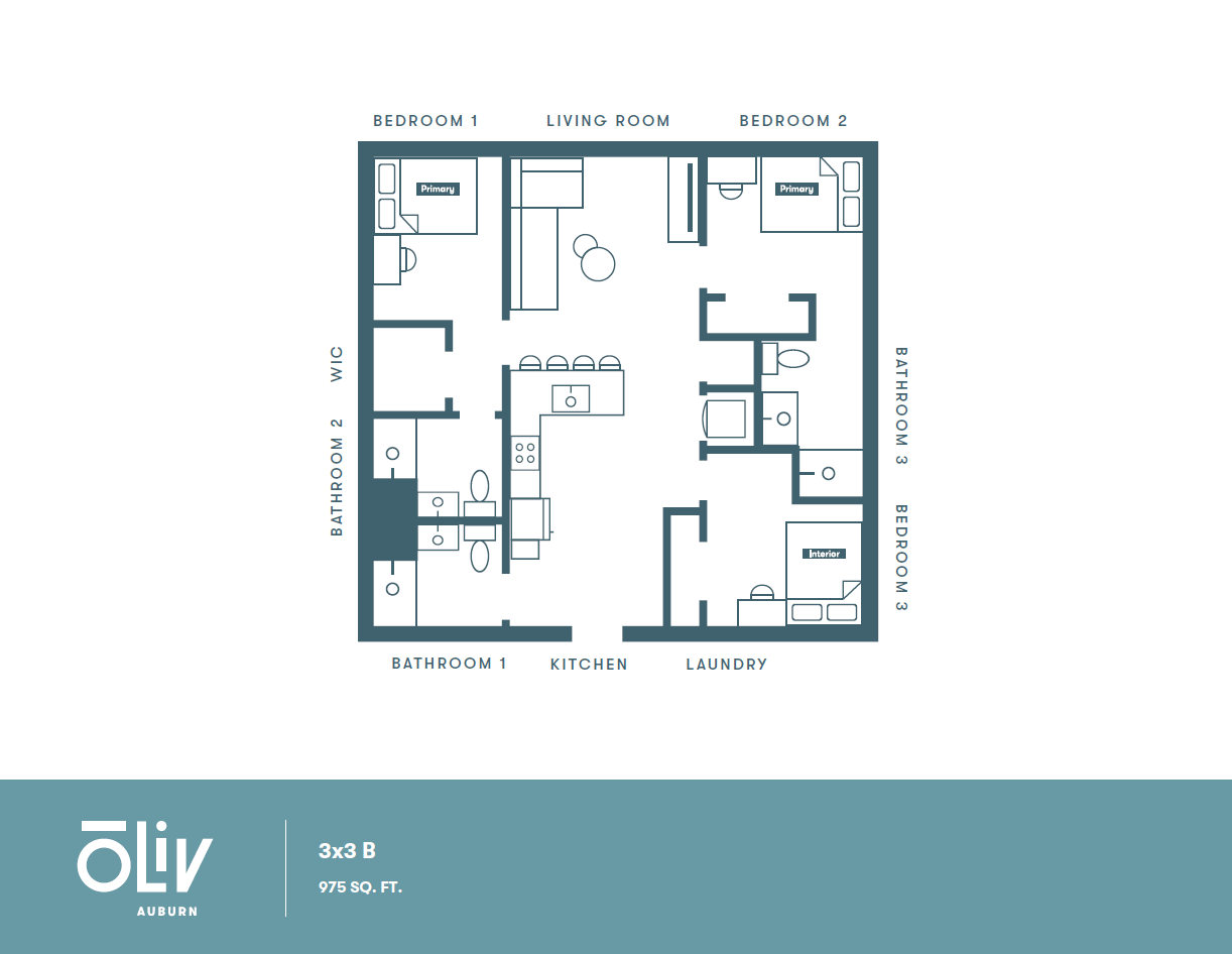 Chic 3x3 B floor plan featuring three bedrooms, three bathrooms, a modern kitchen, and a spacious living area, covering 975 sq. ft.
