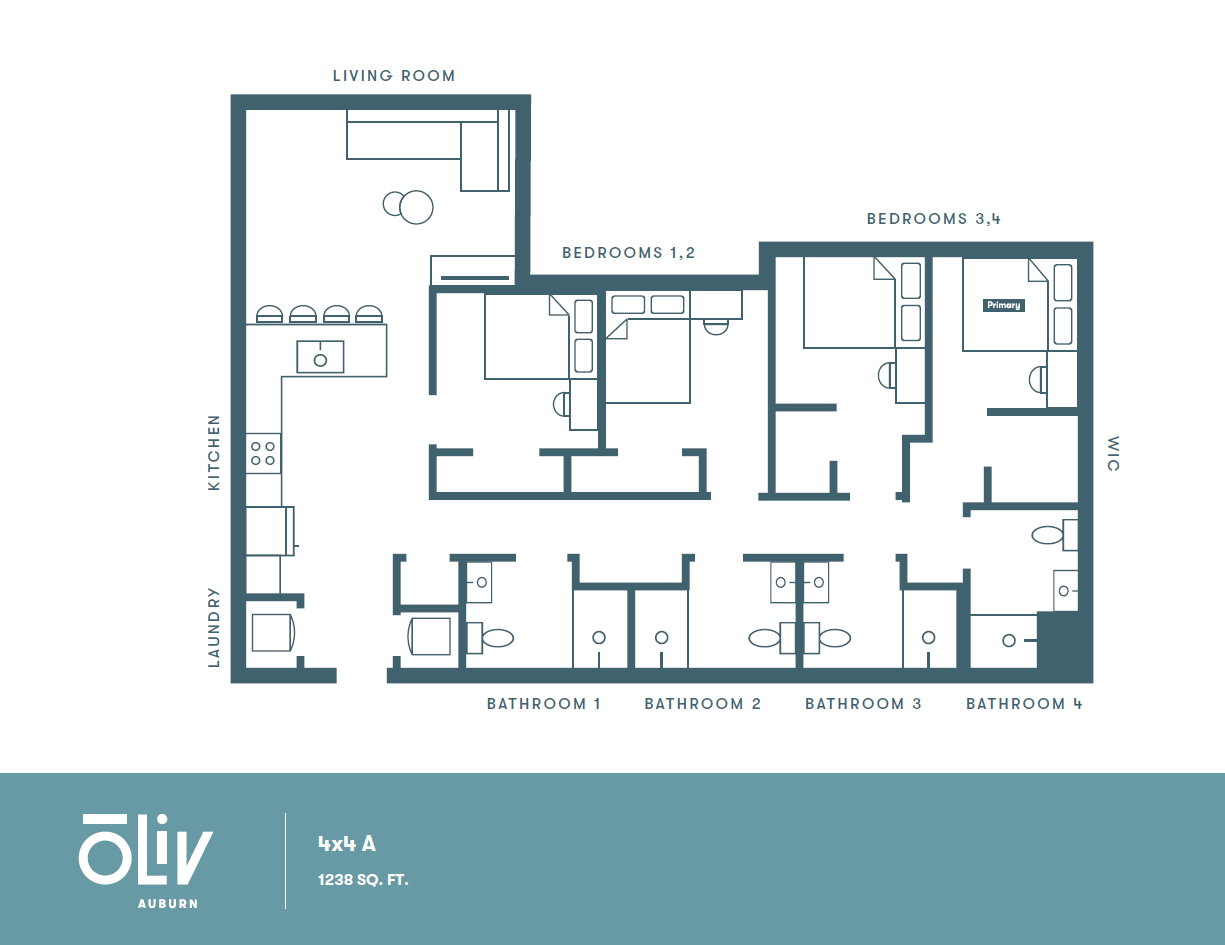 Modern 4-bedroom floor plan with spacious living room, full kitchen, and four bathrooms, covering 1238 sq. ft. at Oliv Auburn.