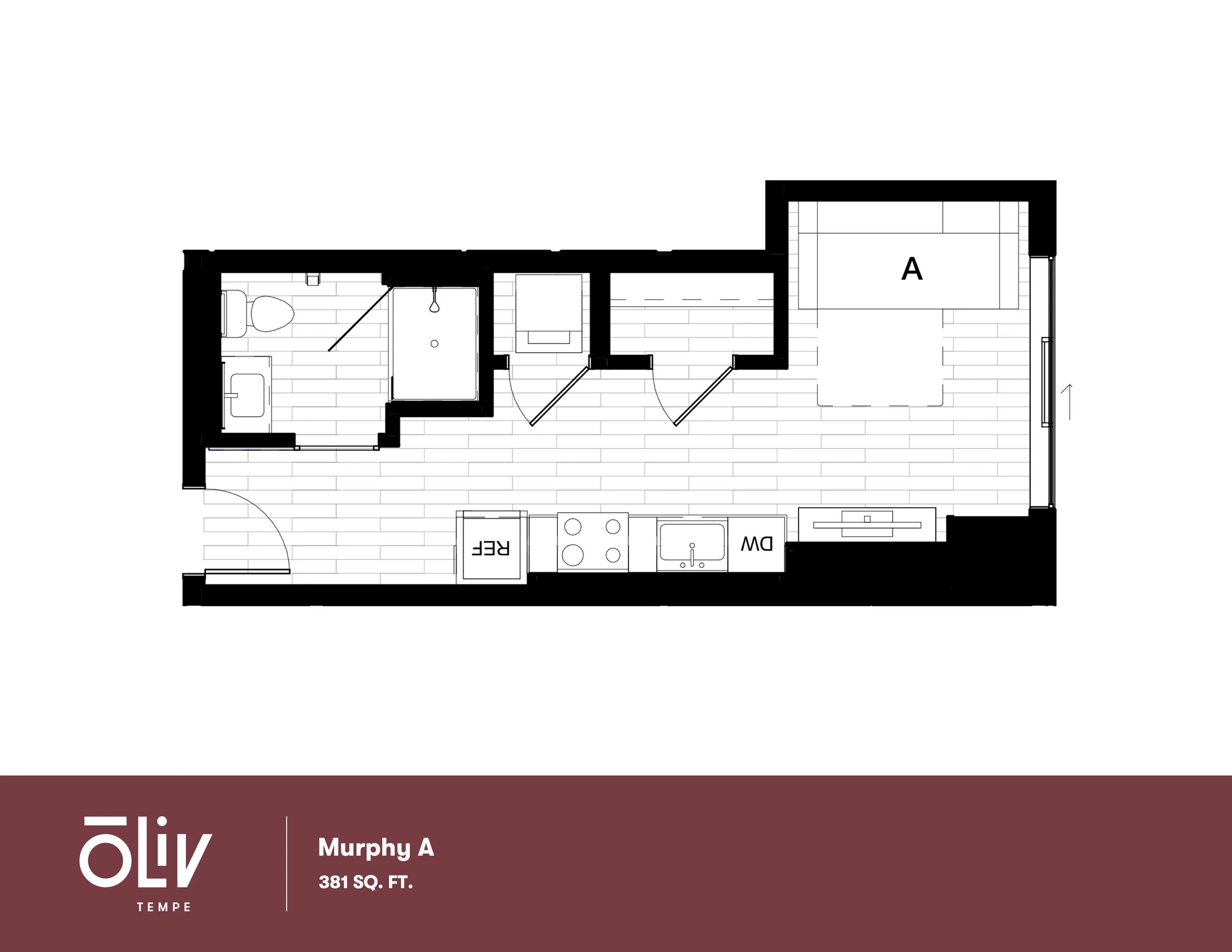 Compact Murphy A floor plan at Oliv Tempe featuring an efficient use of 381 sq ft with a well-designed living area, sophisticated kitchenette, and modern bathroom.