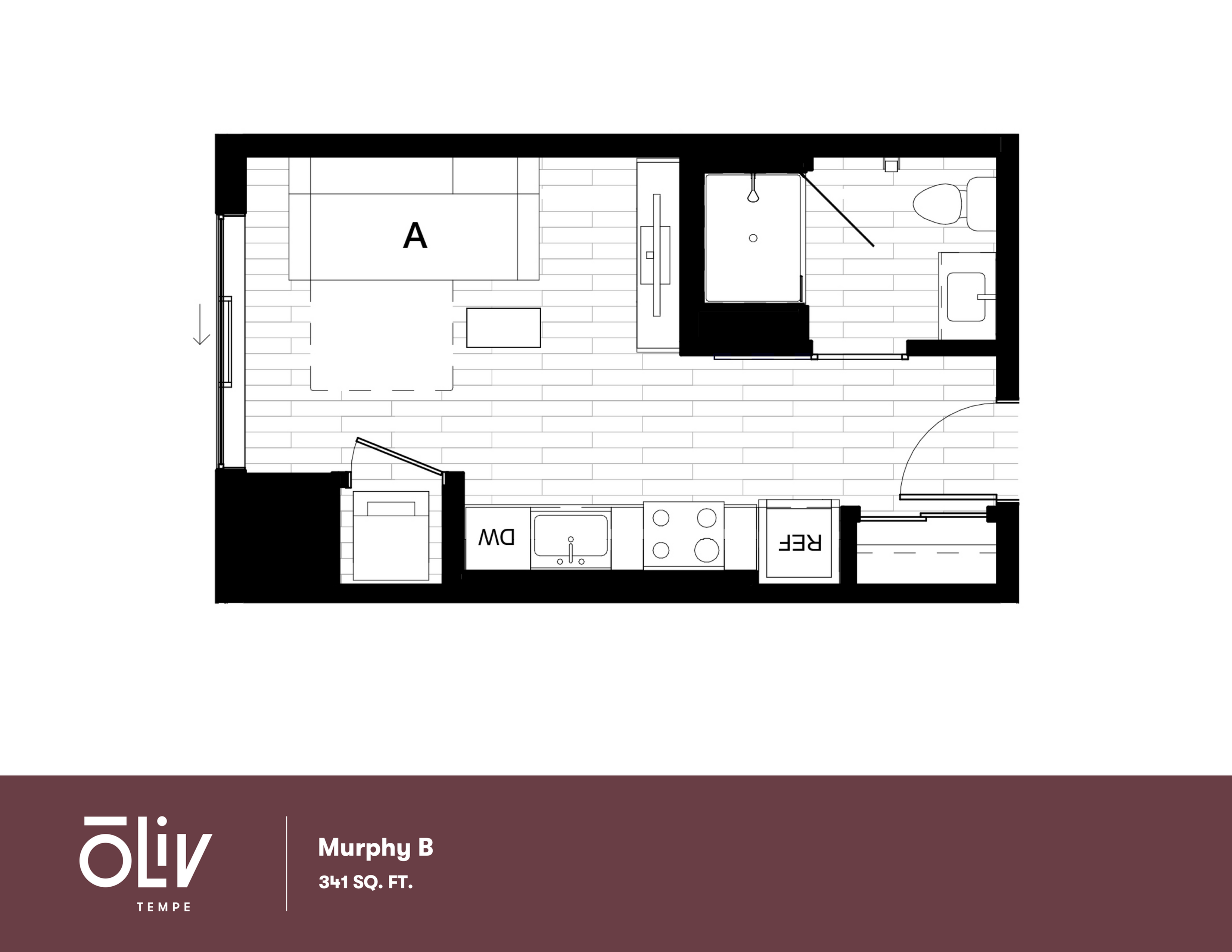 Chic studio floor plan featuring a Murphy bed, modern kitchen, and sleek bathroom in a 341 sq. ft. layout at Oliv Tempe.