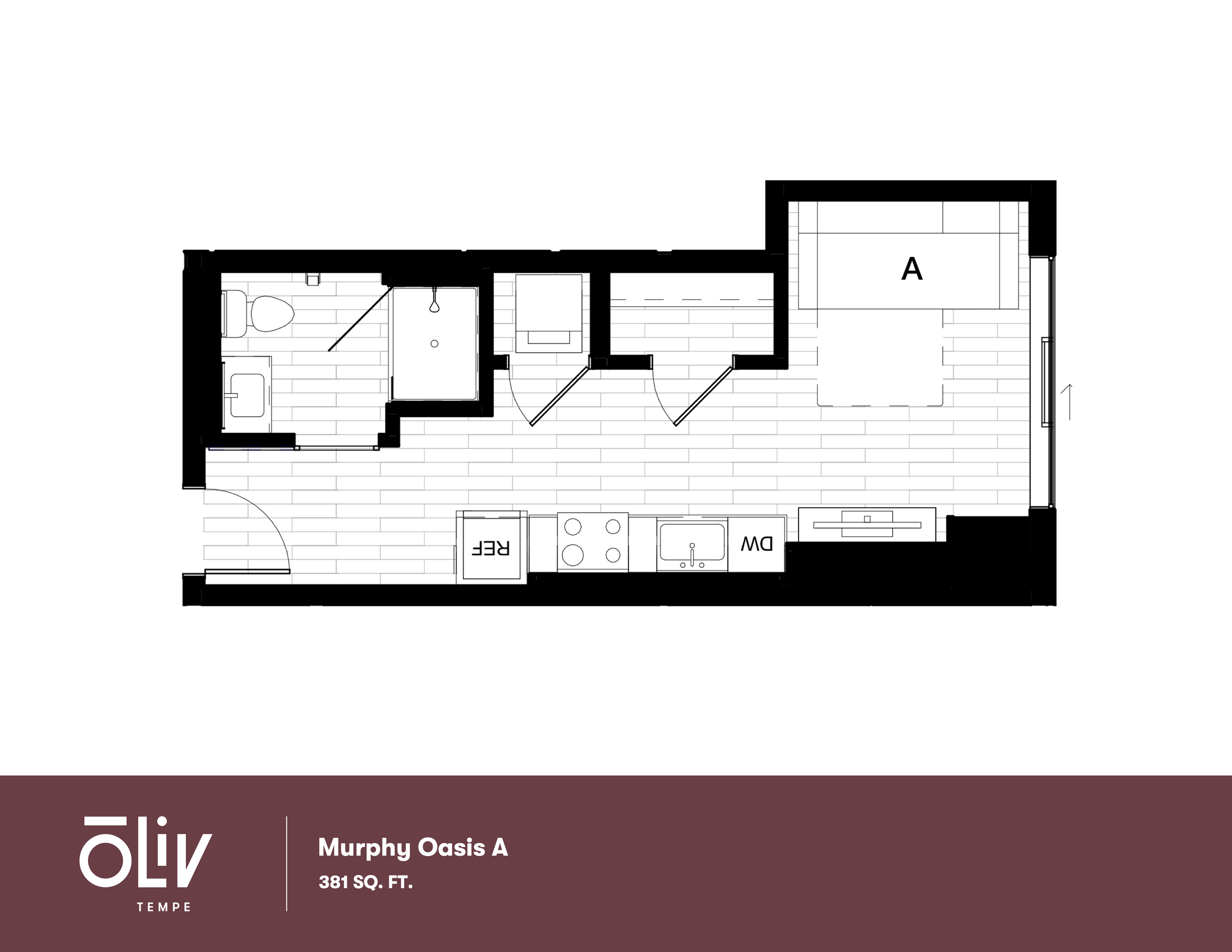 Murphy Oasis A 2D floor plan, showcasing a sleek studio layout with modern kitchen, cozy living area, and efficient bathroom in 381 sq ft.