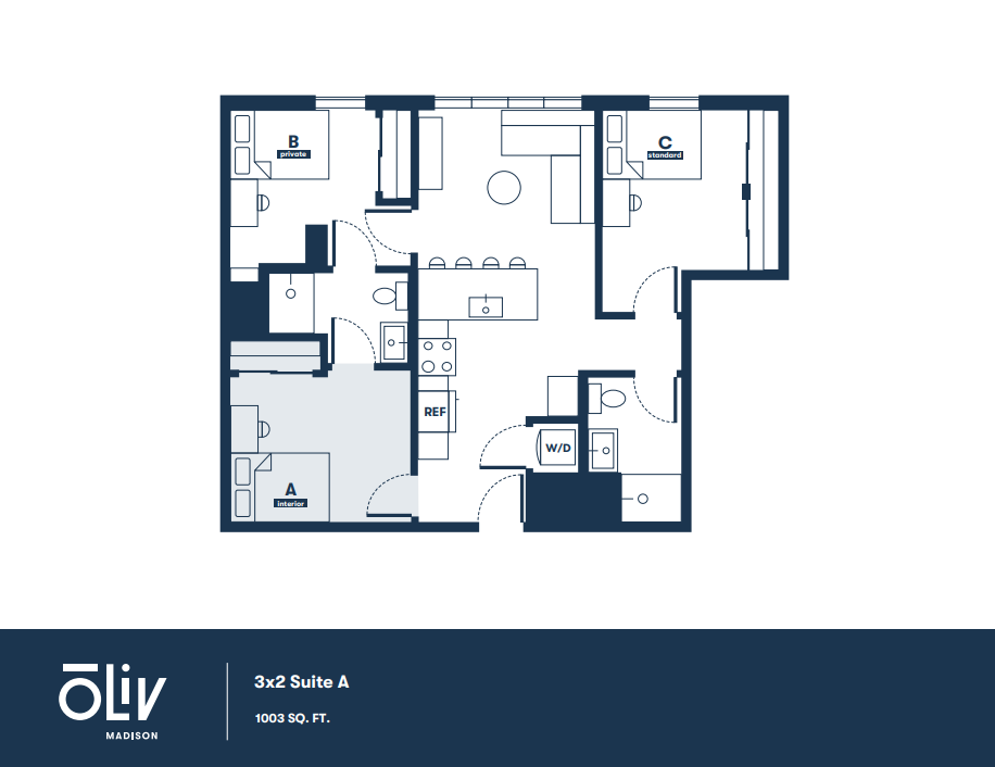 Elegant 3-bedroom floor plan featuring an open living space, modern kitchen, and in-unit washer/dryer, totaling 1003 sq ft in Suite A.