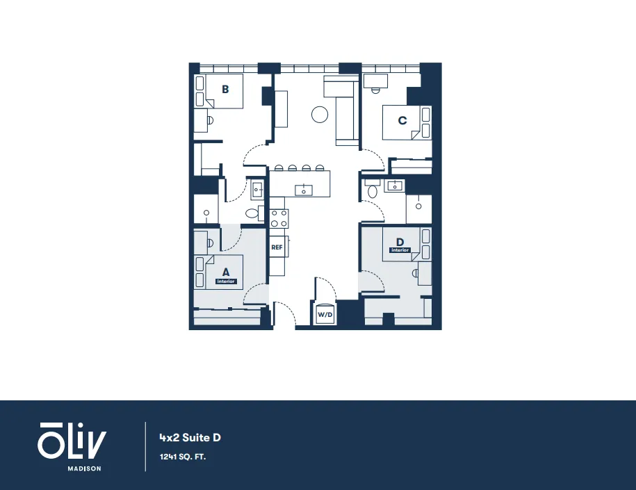 Modern 4x2 Suite D floor plan featuring 4 bedrooms, spacious living area, and open kitchen layout, totaling 1241 sq ft at Oliv Madison.