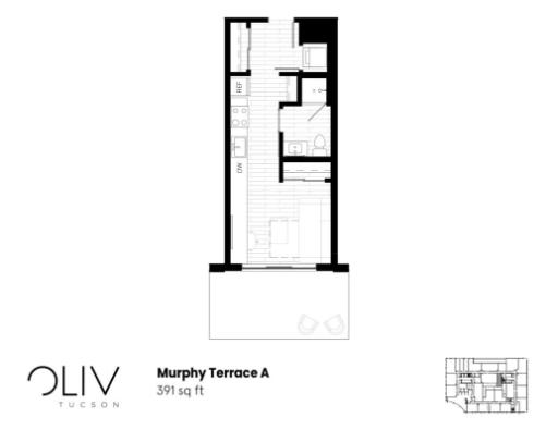 Modern Murphy Terrace A floor plan with a smartly designed open layout, featuring a cozy living space, efficient kitchenette, and functional bathroom within 391 sq ft.