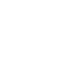Viceroy Apartments Grand Prairie Texas Landing Logo