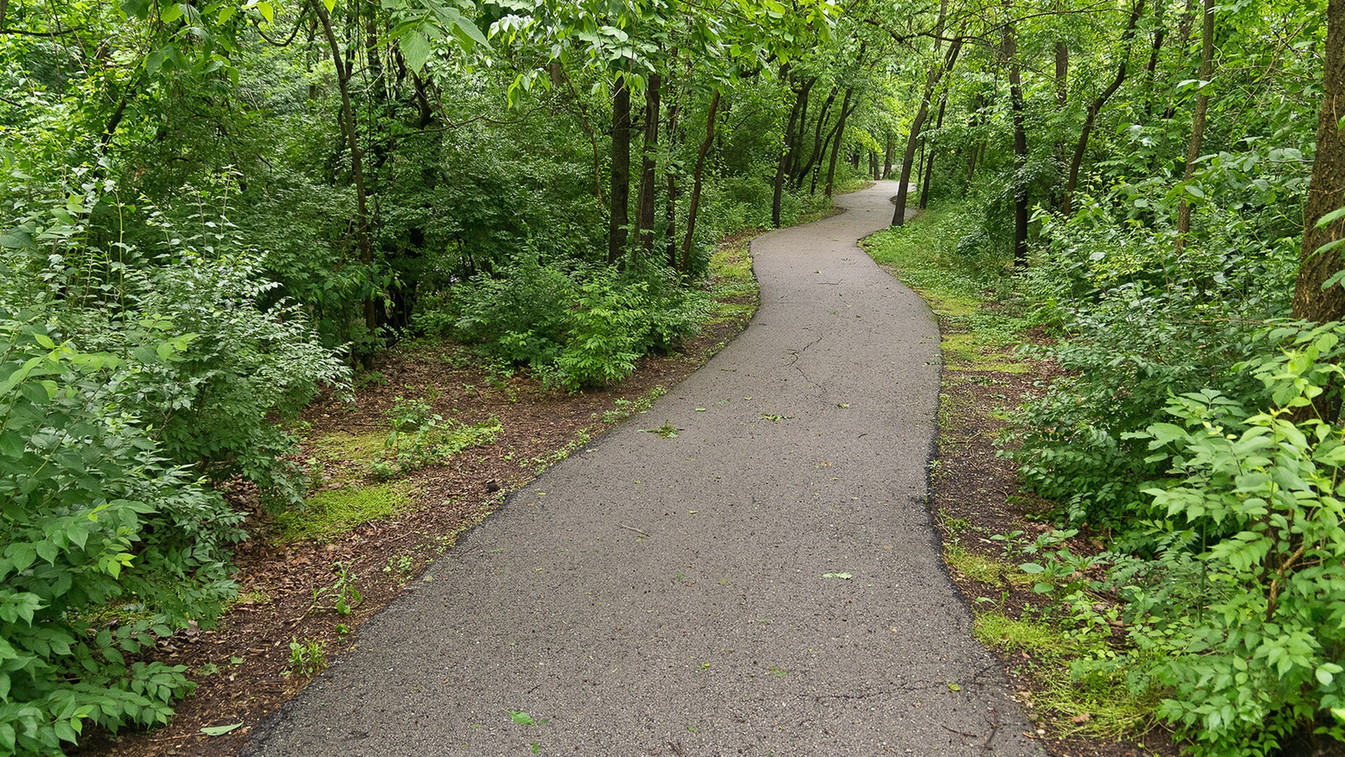 Springfield Missouri Greenways Trail