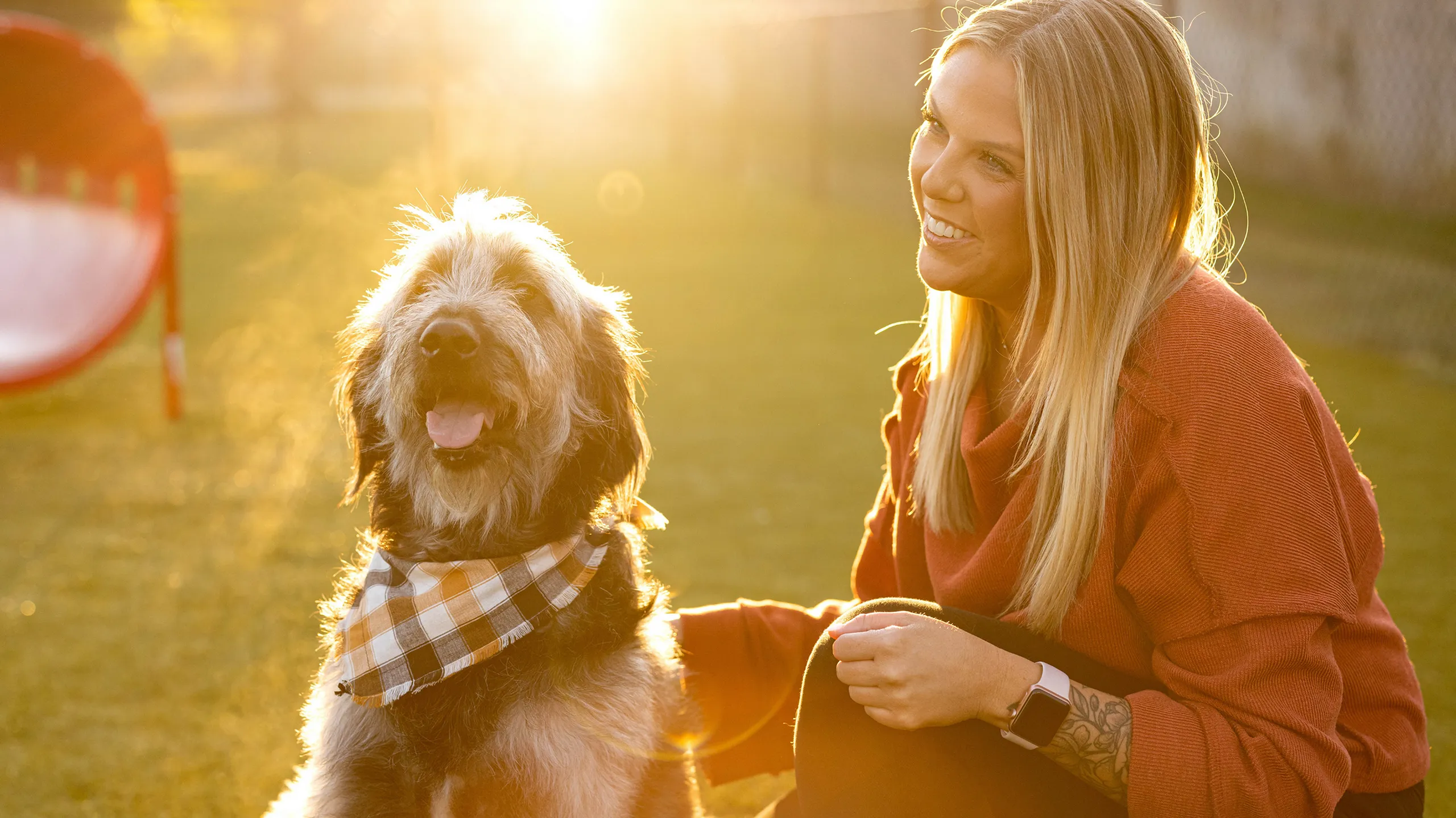 Battlefield Park Apartments Bark Park Dog Pet-Friendly Amenities