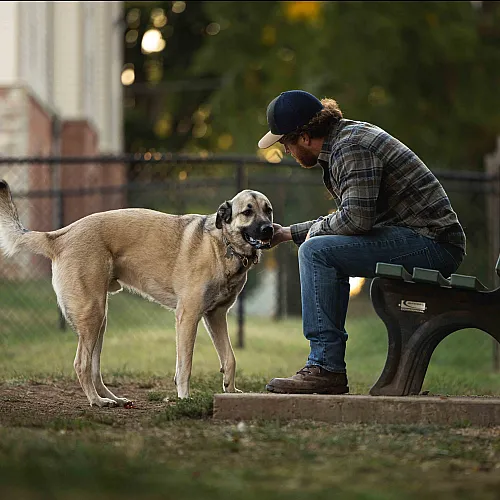 Coryell Courts Apartments Pet Friendly Dog Park