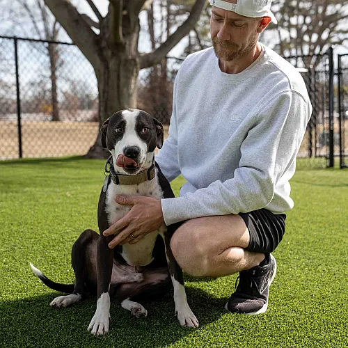 Coryell-Crossing-Apartments-Springfield-Missouri-Pet-Friendly-Dog-Park