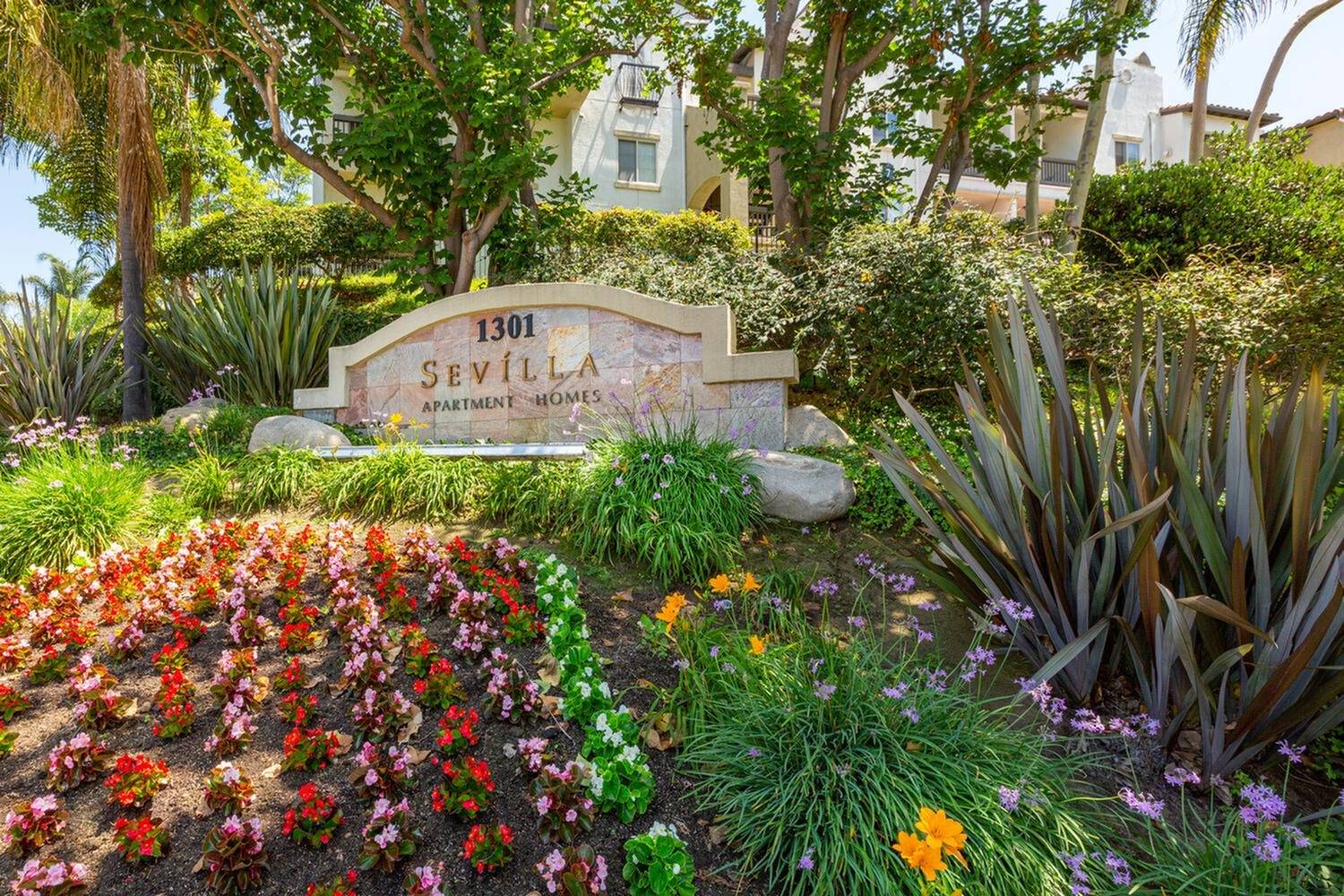 Apartments in Chula Vista Elan Sevilla