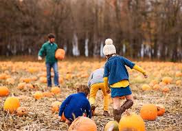 BEST Fall Activities Around Rexburg-image