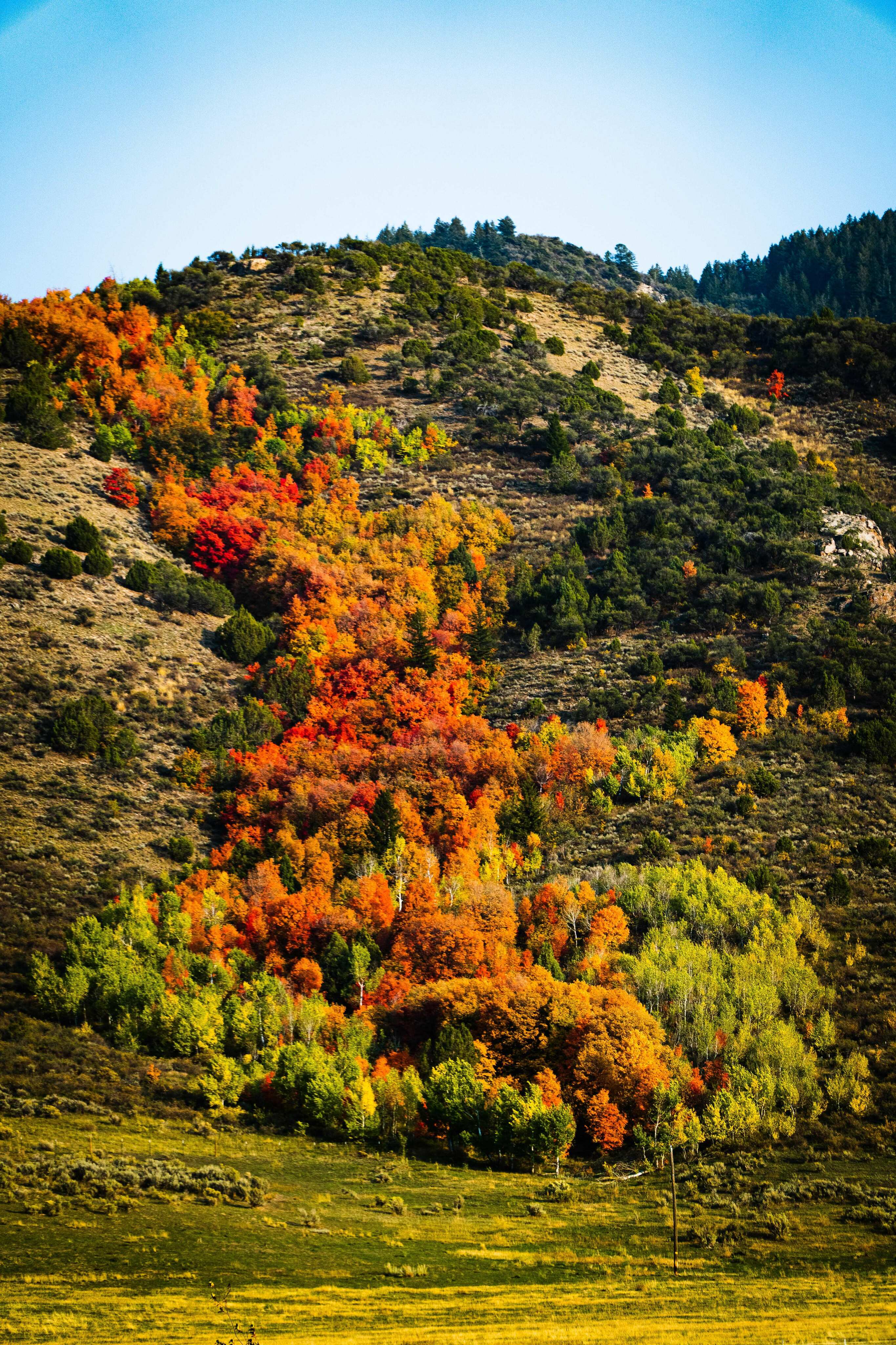 Embrace the Magic of Fun Fall Weather-image