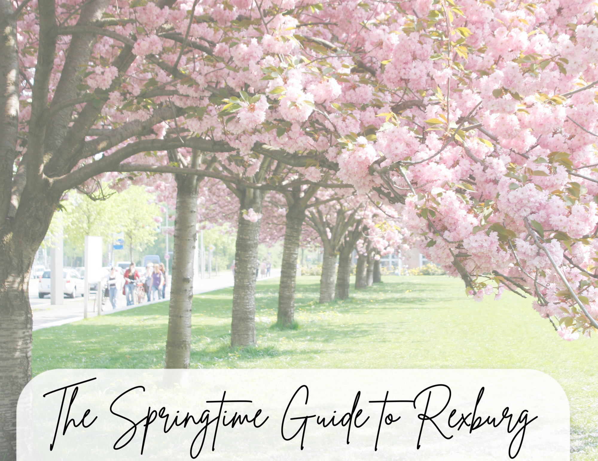 Exploring Rexburg in May: A Springtime Guide-image