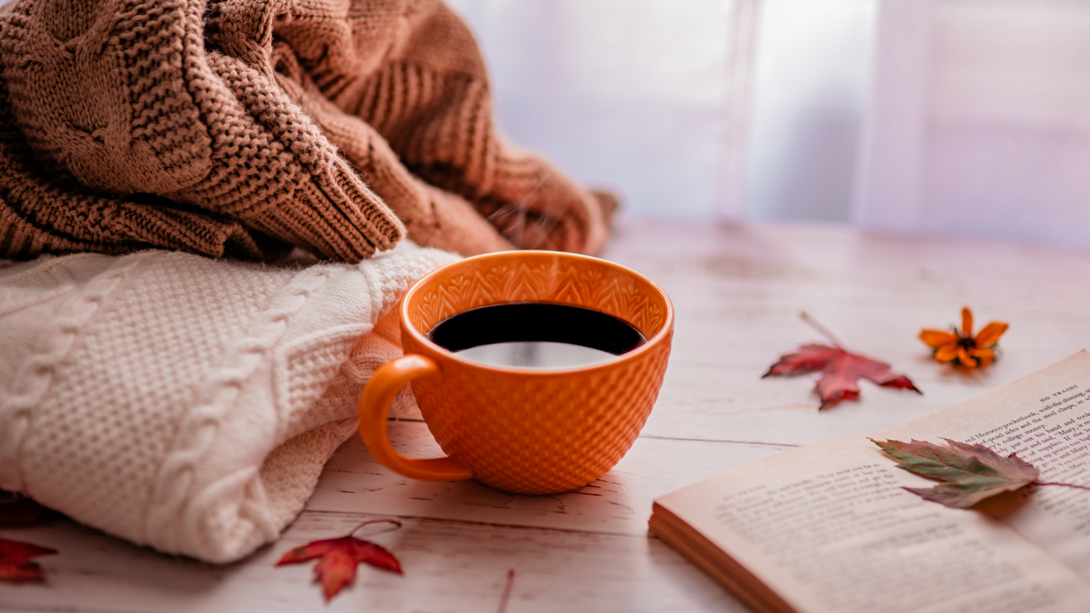 Transitioning to Fall Apartment Living: Tips for a Cozy and Comfortable Season-image