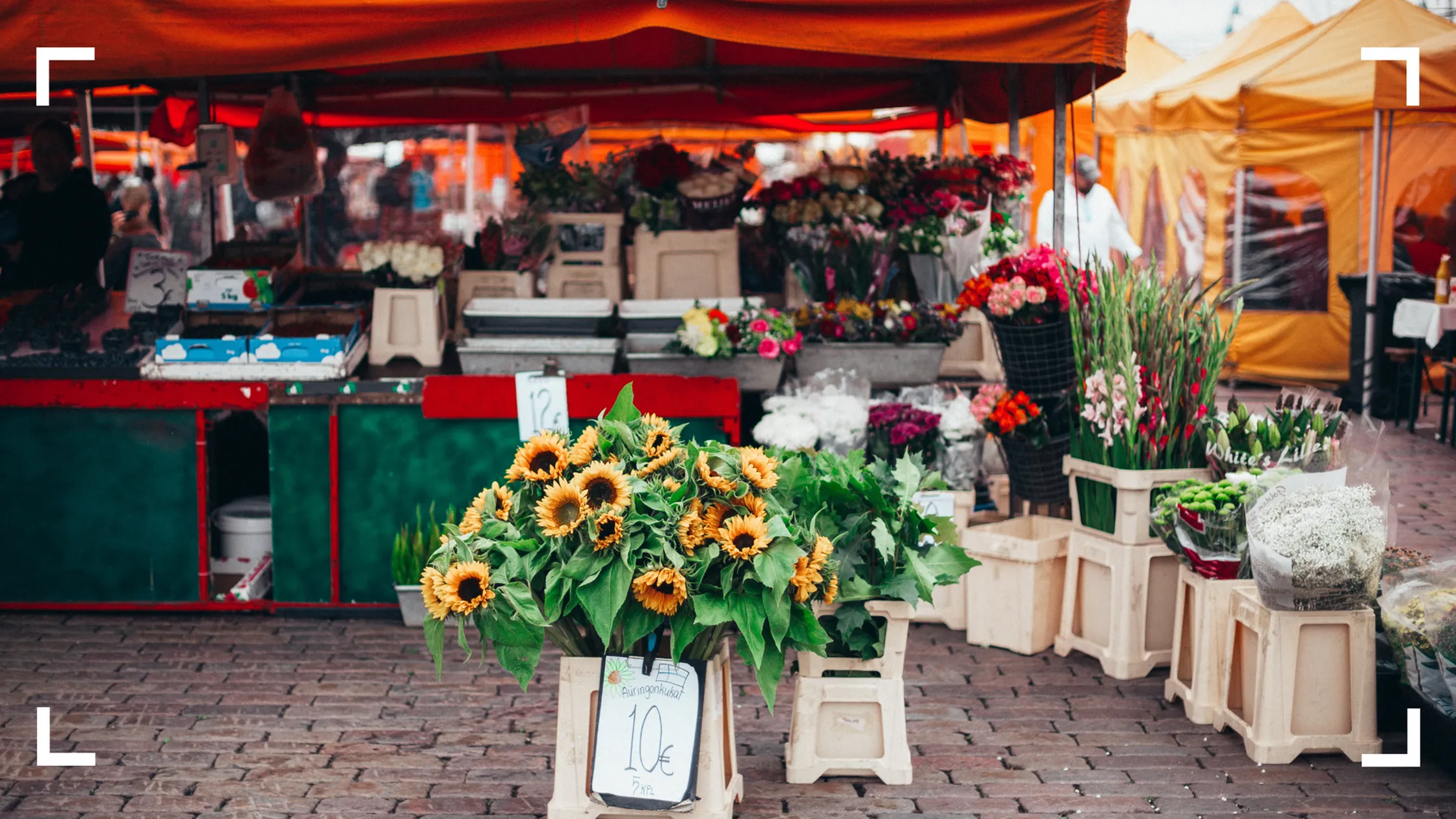 Markets, Mountains & Magic-image