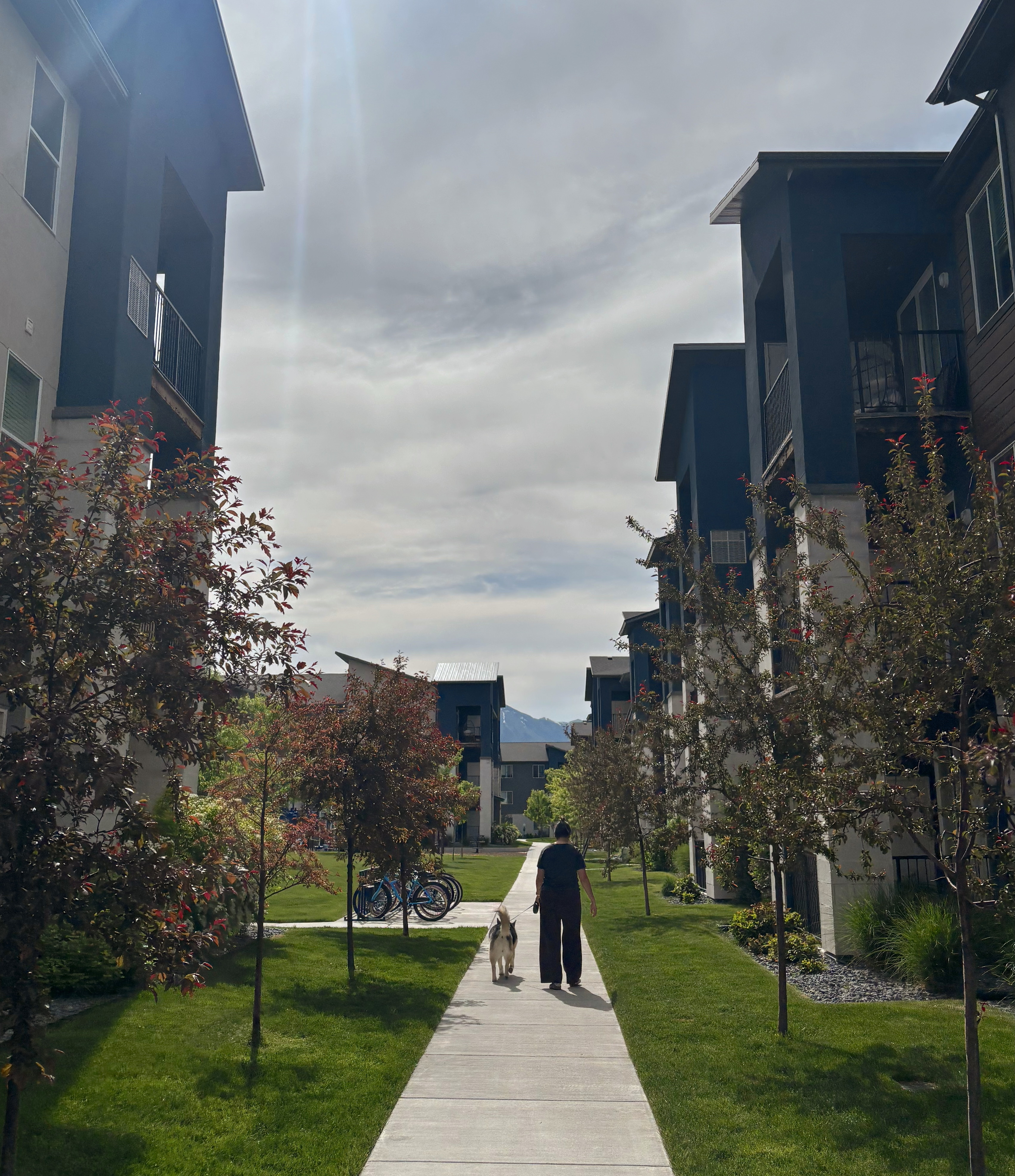 Pet-Friendly Living at Strata Apartments & Things to Do with Your Pet in Logan, Utah-image