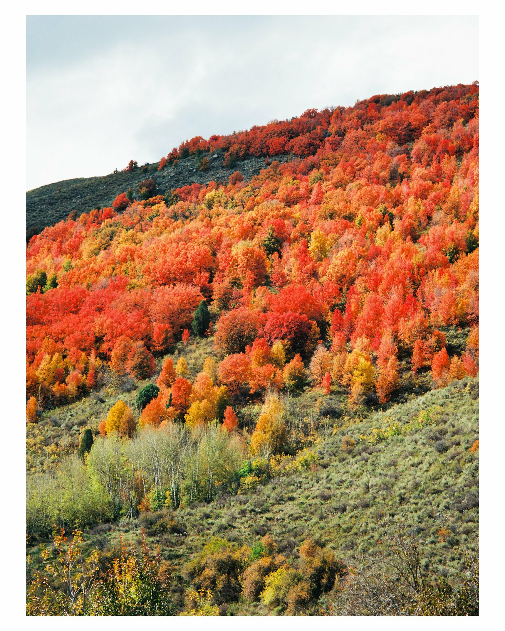 Hello November!-image