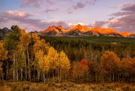 Fall Into Fun: Top 5 Things to Do This Season in Idaho Falls-image