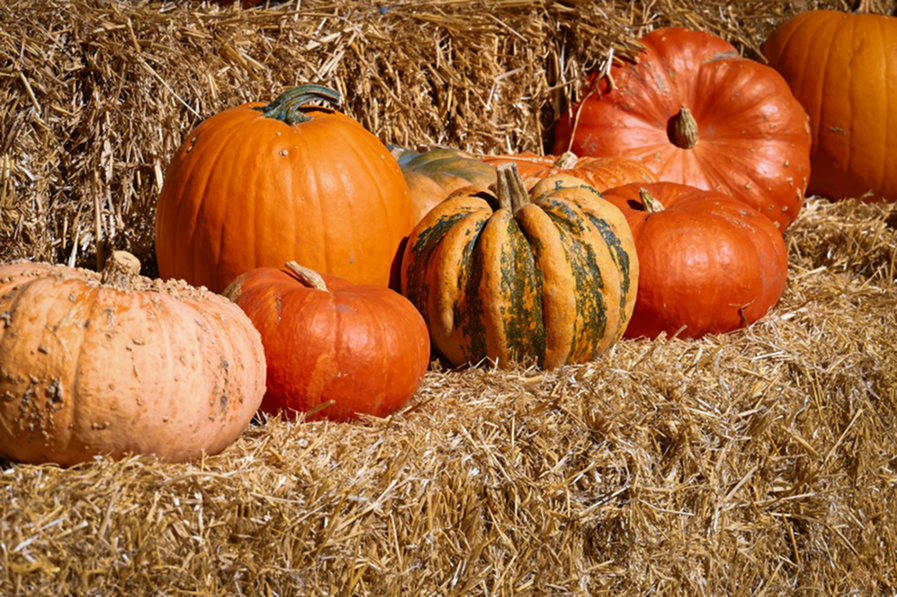 Fall in Rexburg: Best Local Events & Activities This October-image