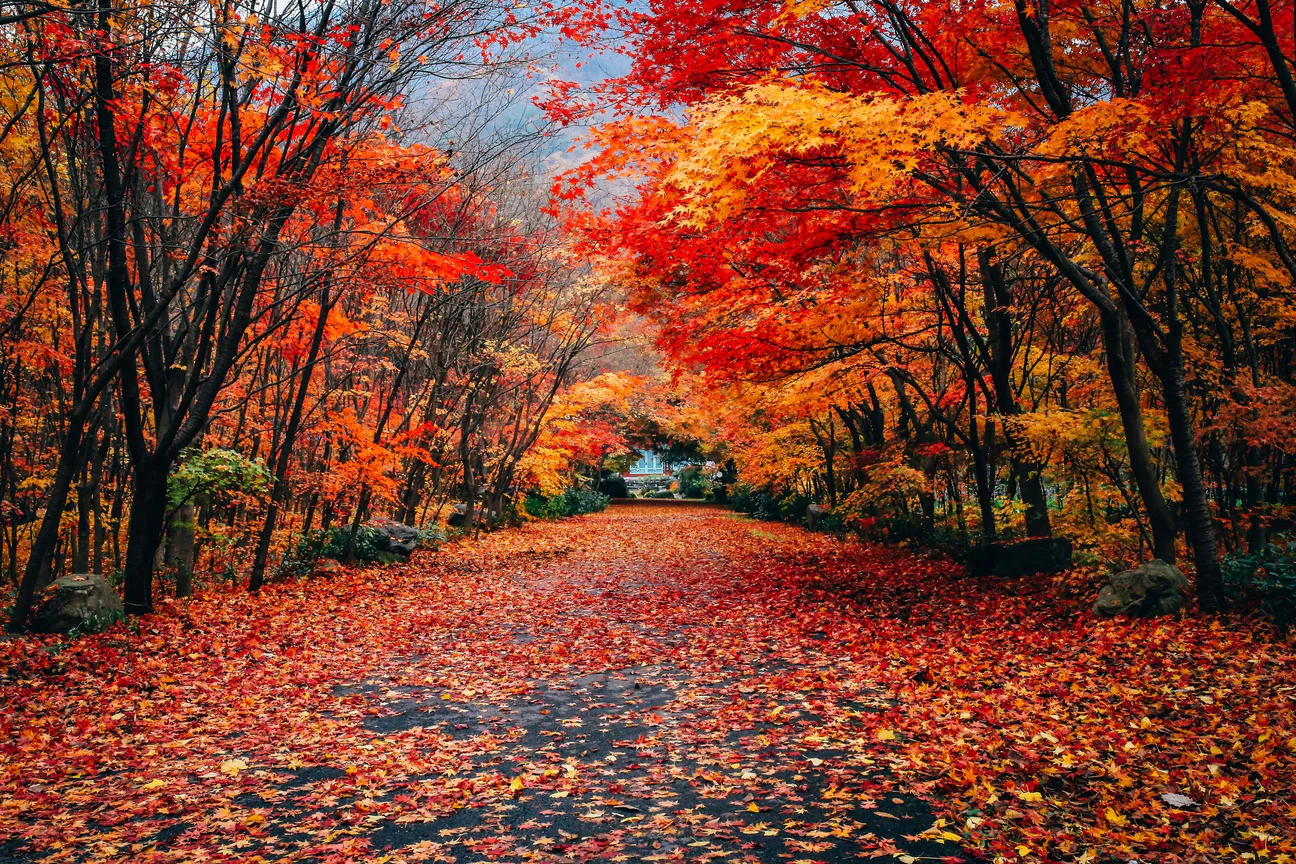 What’s Your Favorite Fall Movie?-image