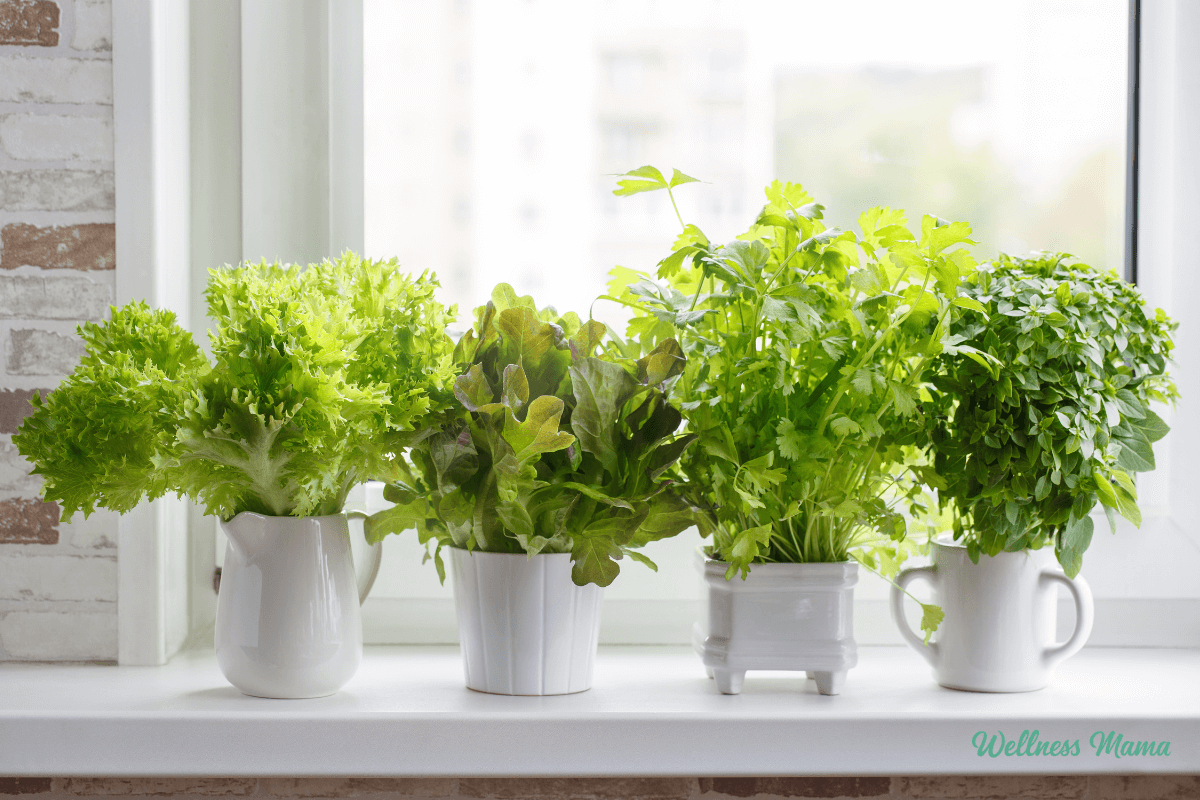 Keep Green Inside as the Outside Changes-image