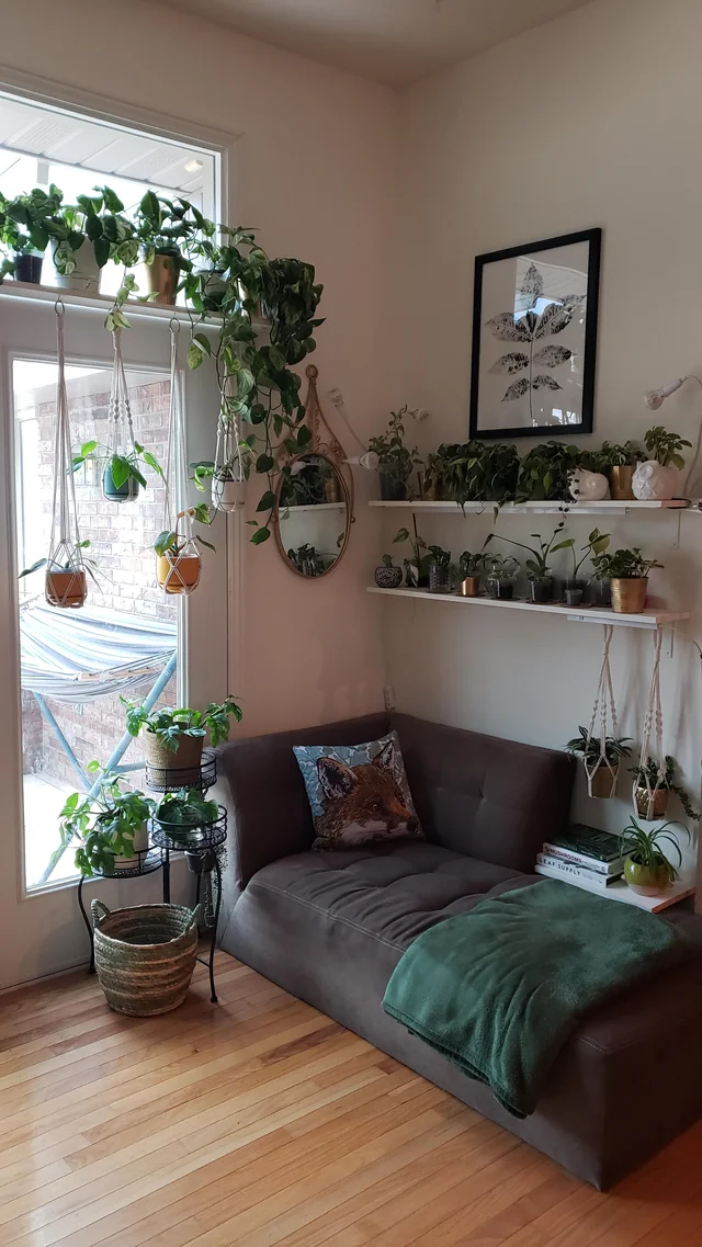 Stress-Free Apartment Living: Simple Tips for a Calm, Organized Home-image