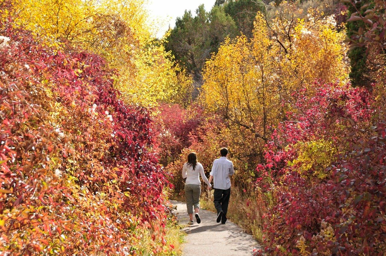 Things to Do in Pocatello This November-image