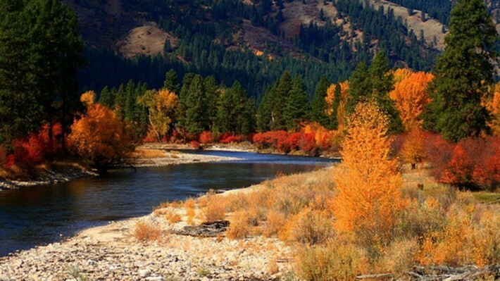 Why a Fall Move-In is Perfect at The Falls-image