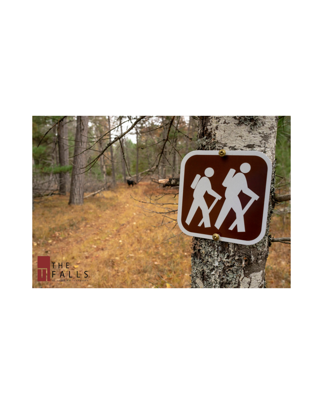 Autumn Activities to Try Around Snake River Landing-image