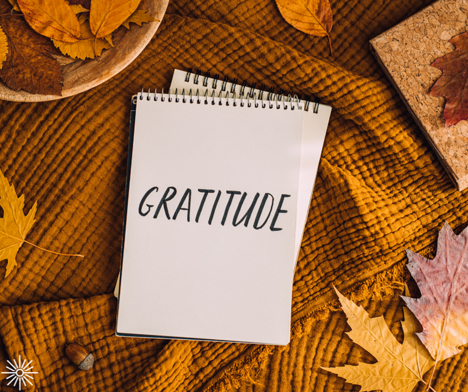 Gratitude Starts at Home: 5 Ways to Appreciate Apartment Living-image