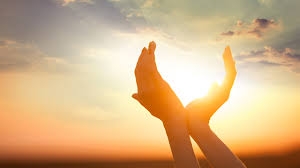 How Natural Light Boosts Your Mood and Productivity-image