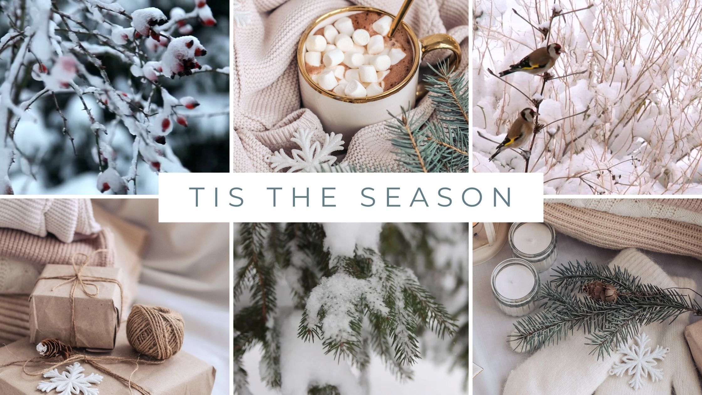 Embrace the Winter Season in East Idaho-image