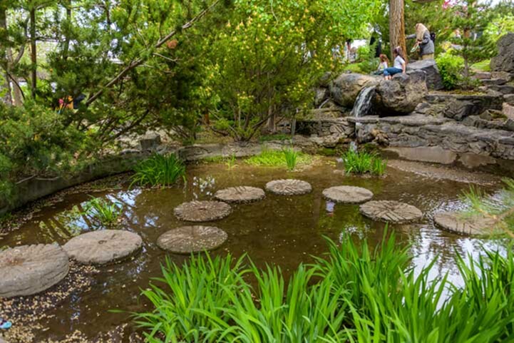 Best Walking Spots Near The Falls🚶‍♀️-image