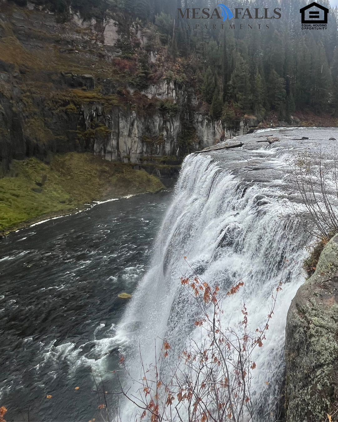 Adventure Awaits Just Beyond Your Door at Mesa Falls Apartments 🌄-image